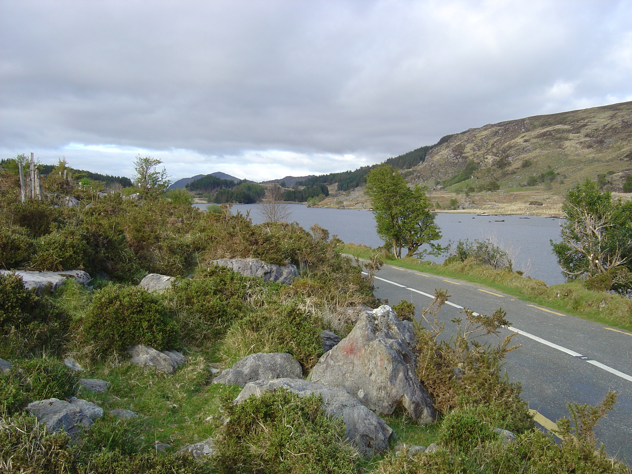 Photo Irlande Kerry Parc National de Killarney 2004-05 37