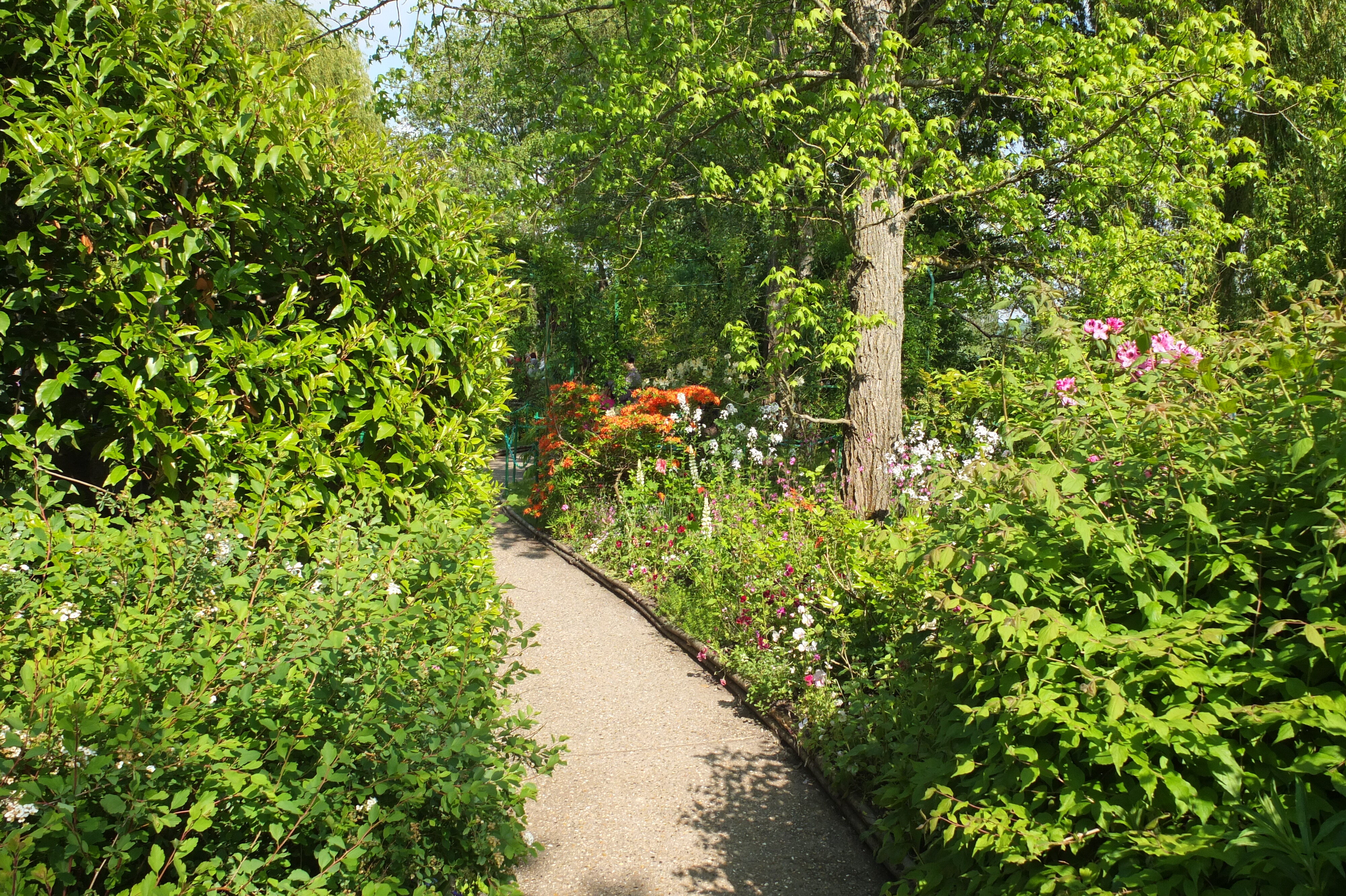 Photo France Giverny 2013-06 213