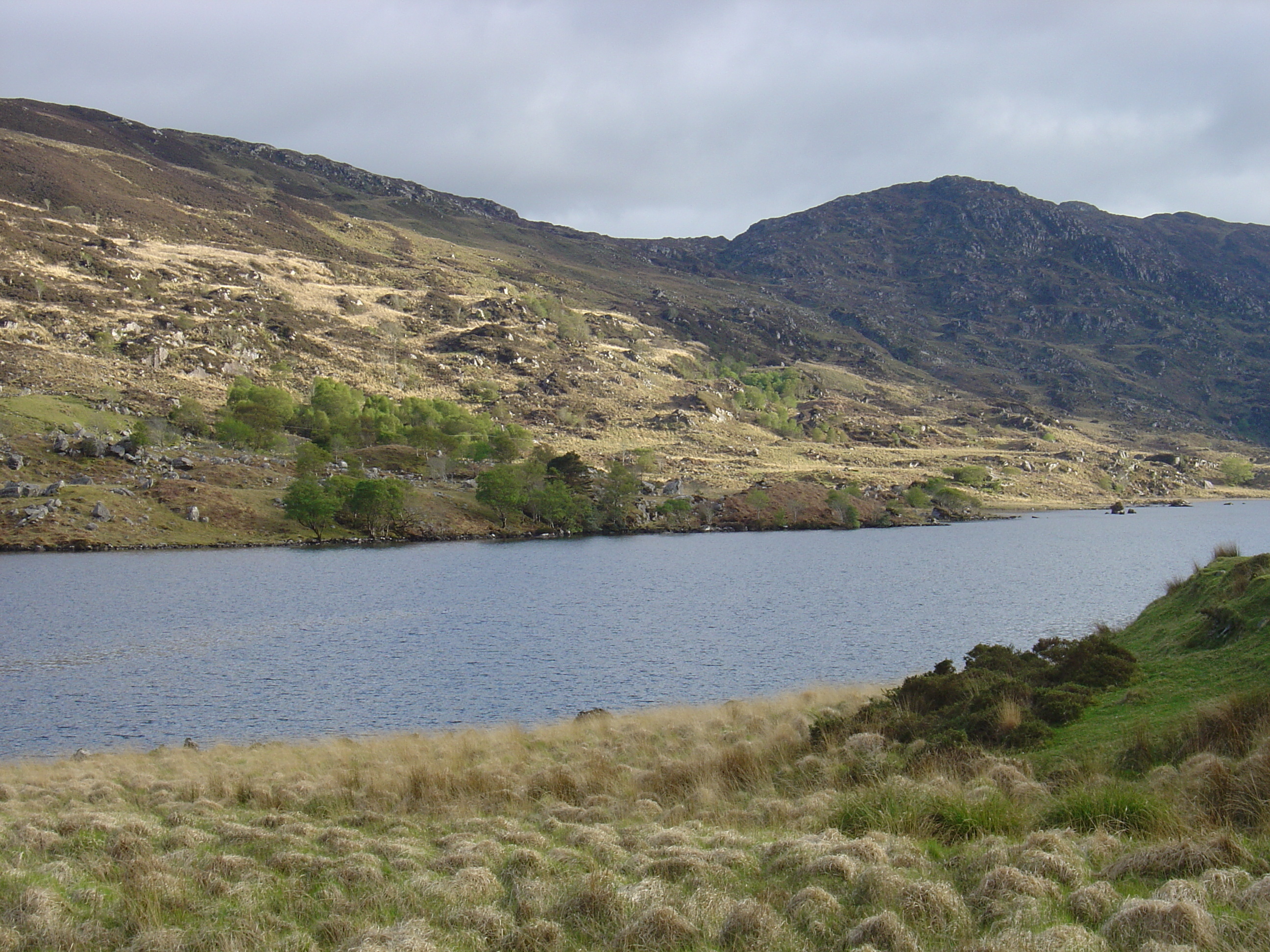 Photo Irlande Kerry Parc National de Killarney 2004-05 4