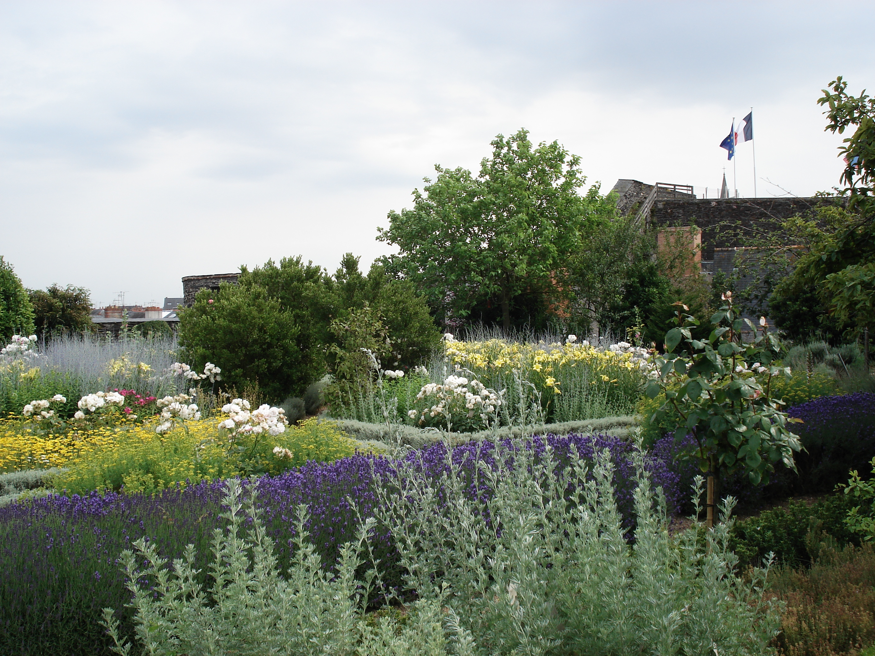 Photo France Angers 2006-06 101