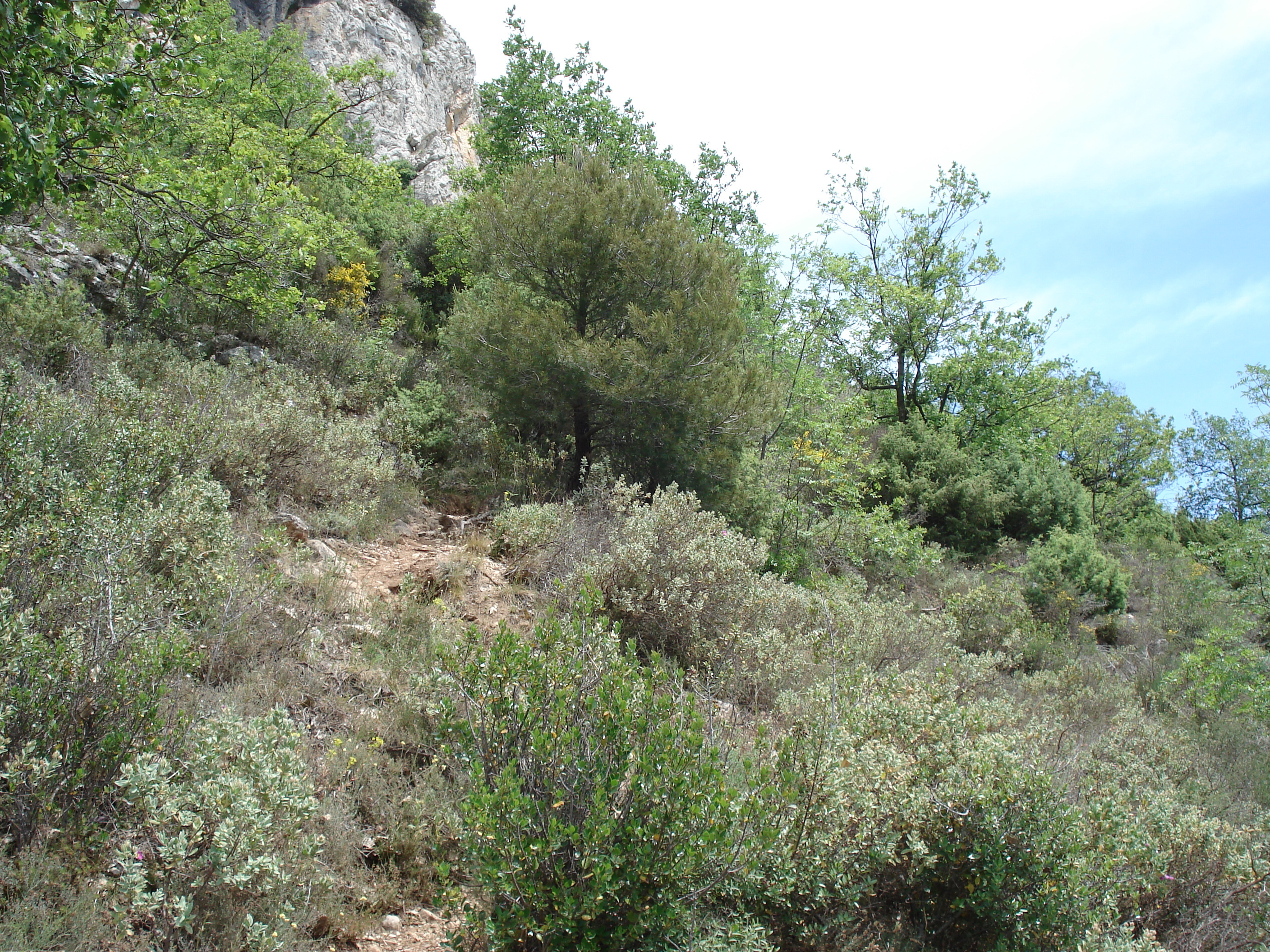 Photo France Vence Baou 2006-06 86