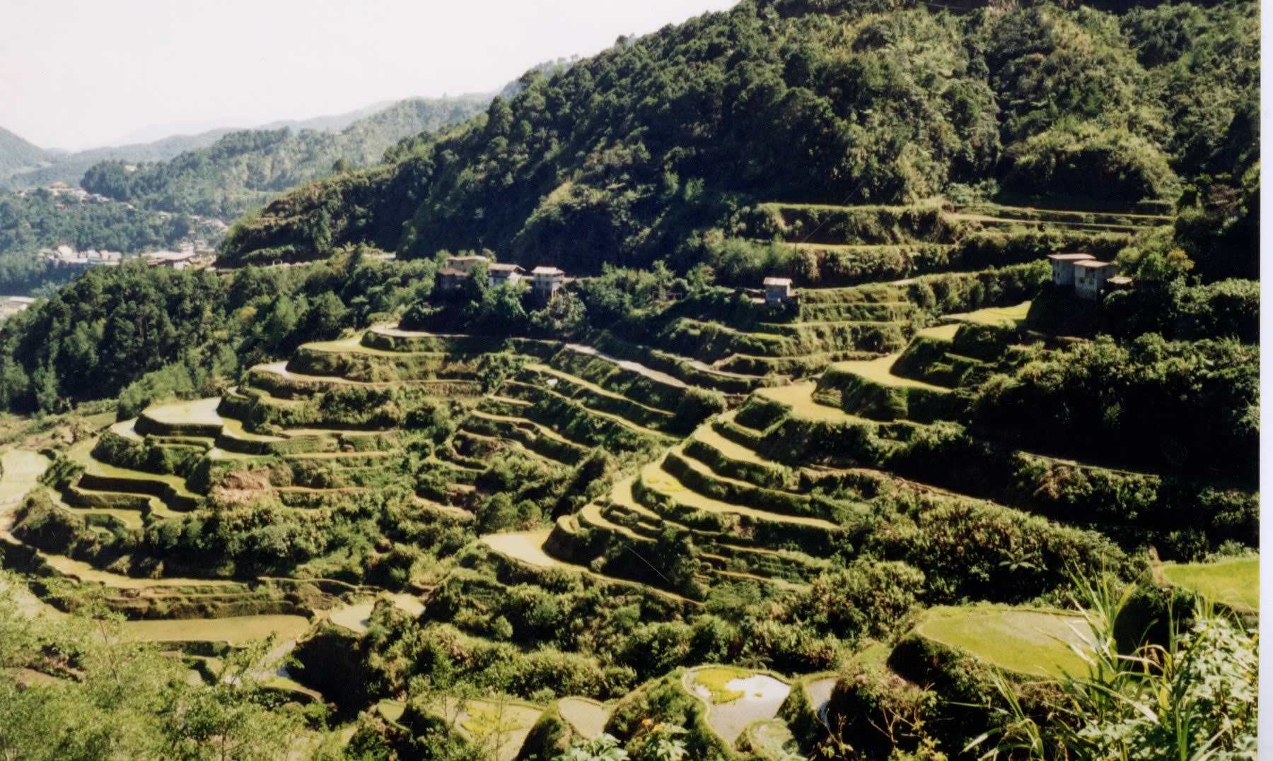 Photo Philippines Banaue 1997-03 10