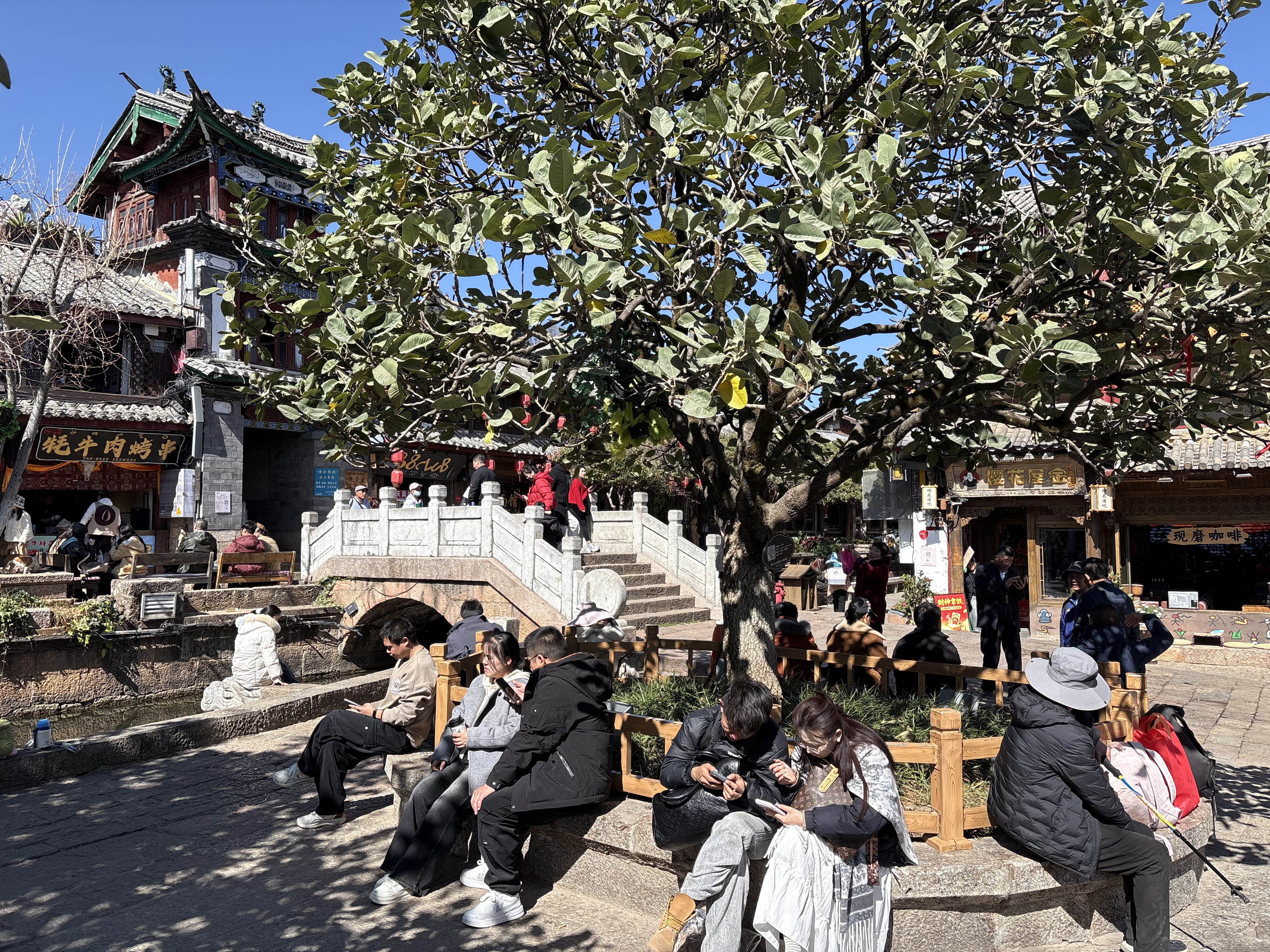 Photo Chine Lijiang 2026-01 271