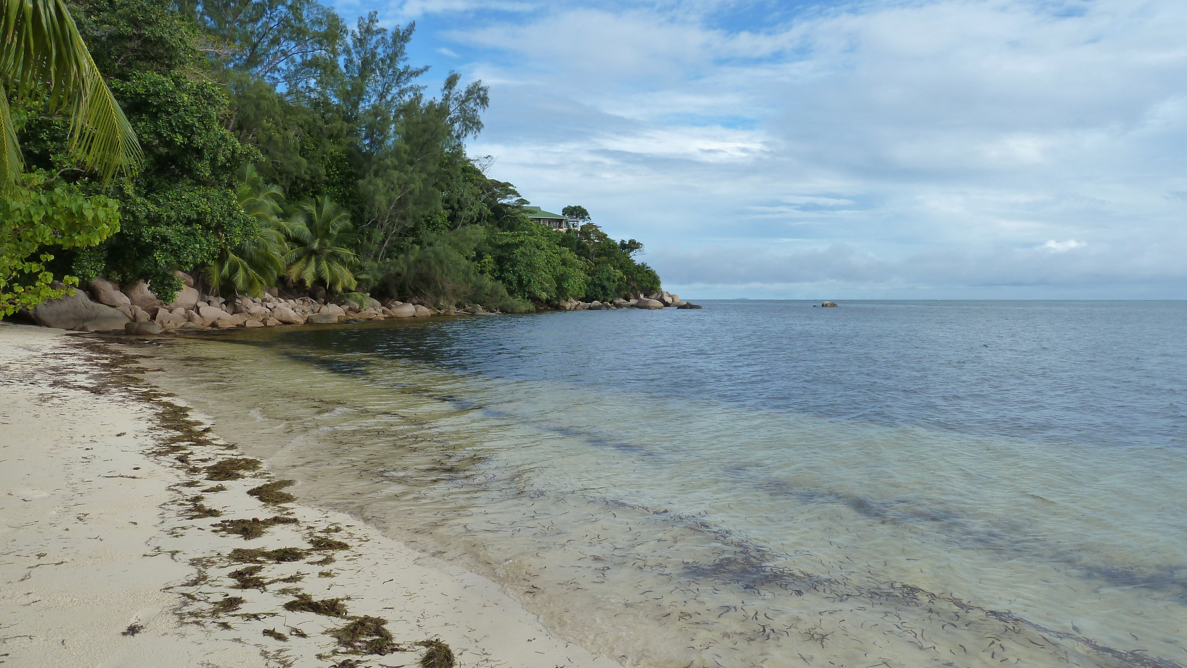 Photo Seychelles Praslin 2011-10 204
