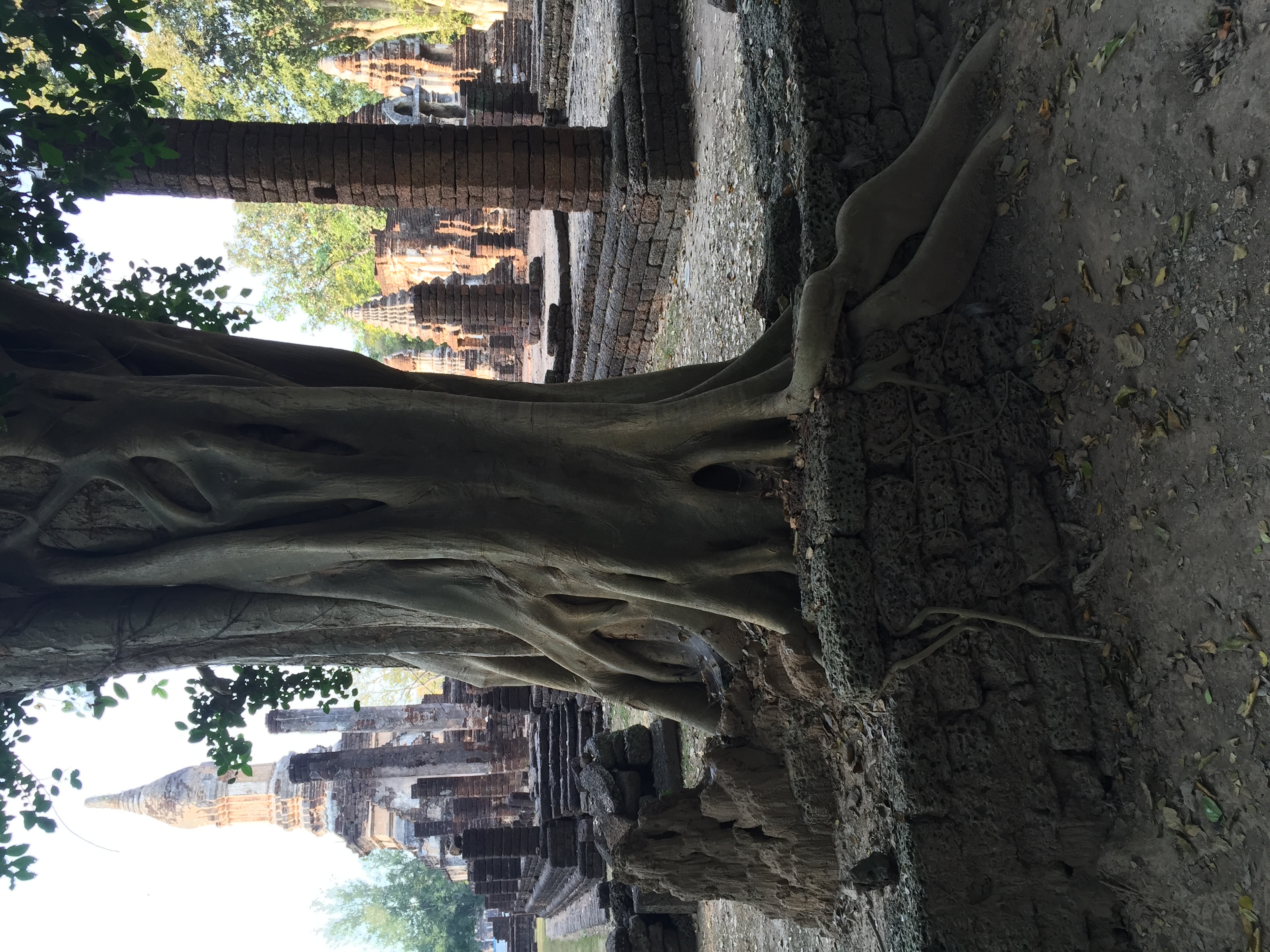 Photo Thaïlande Parc Si satchanalai 2014-12 124