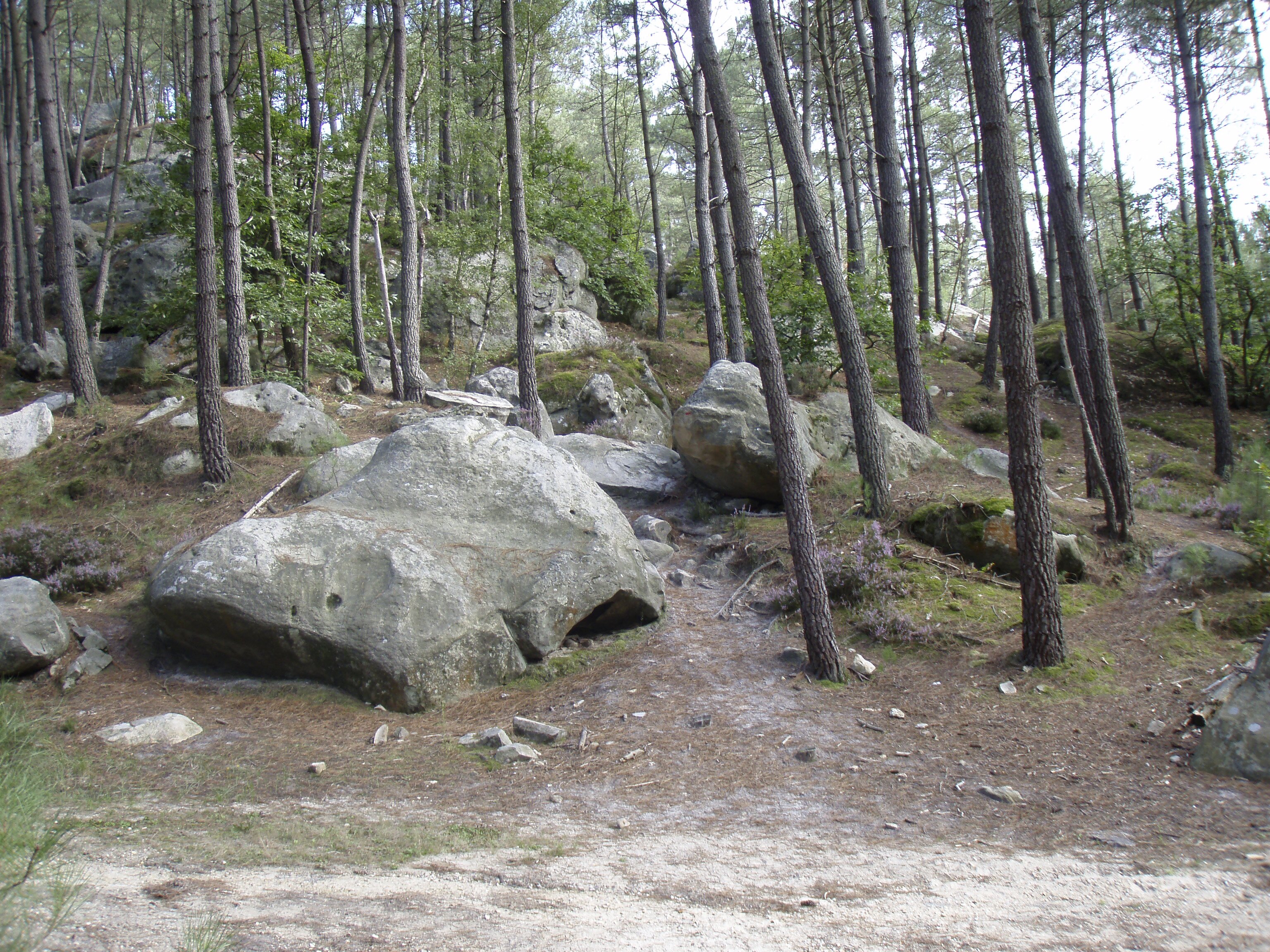 Photo France Fontainebleau Circuit des 25 bosses 2007-08 32