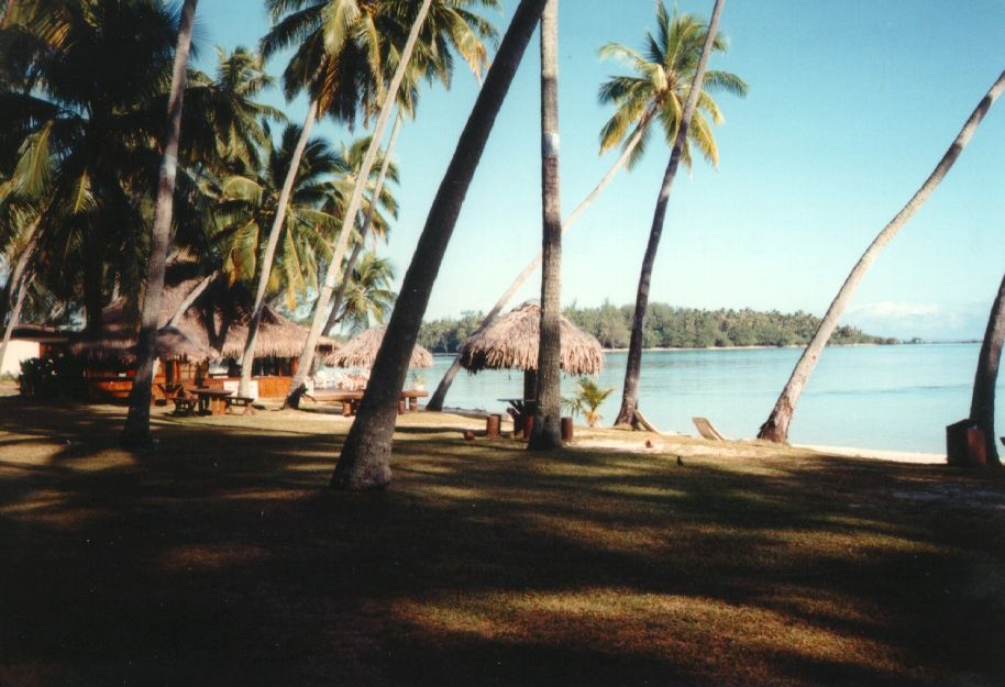 Photo Polynésie Mooréa 1993-04 45
