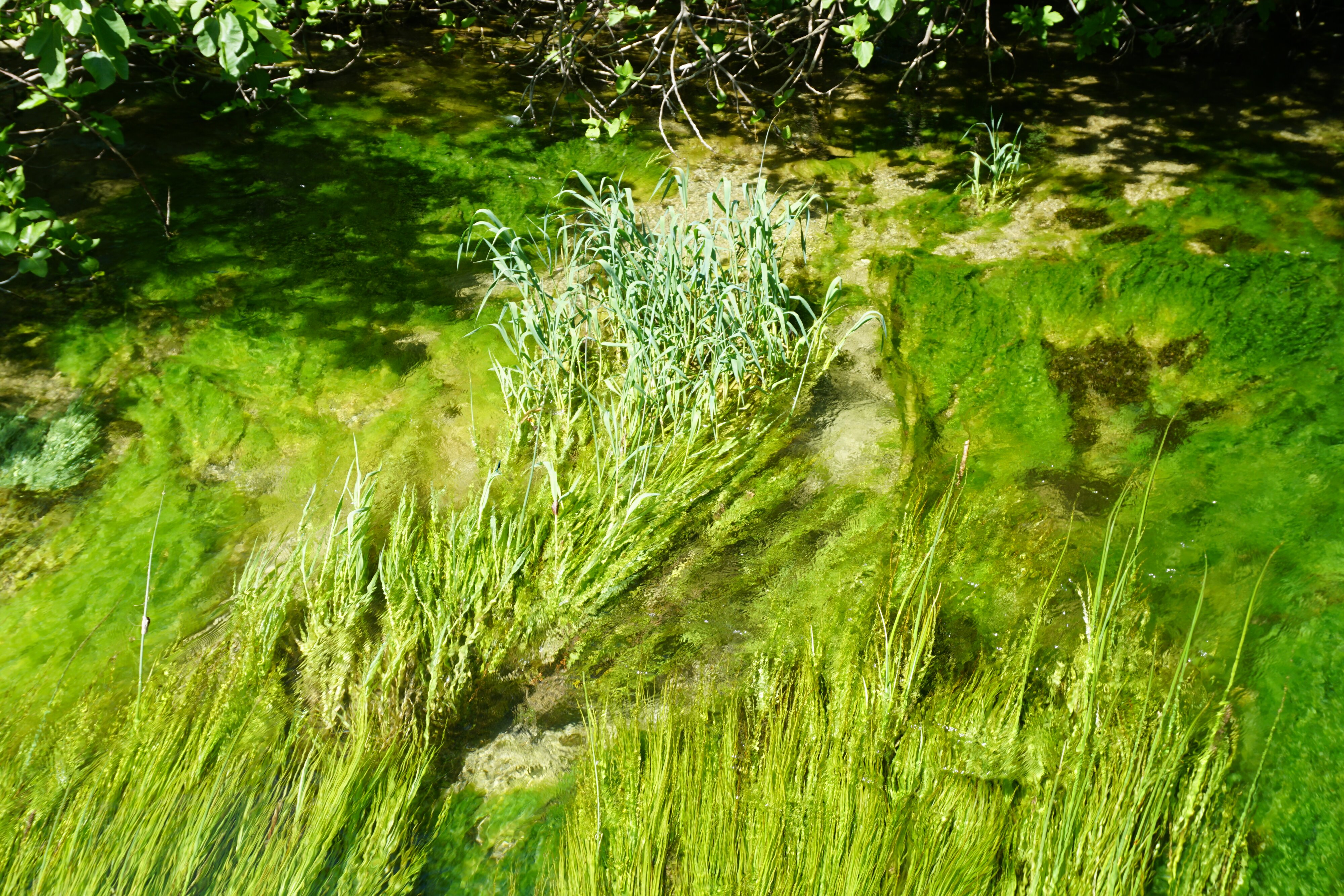 Photo Croatie Parc national KRKA 2016-04 88