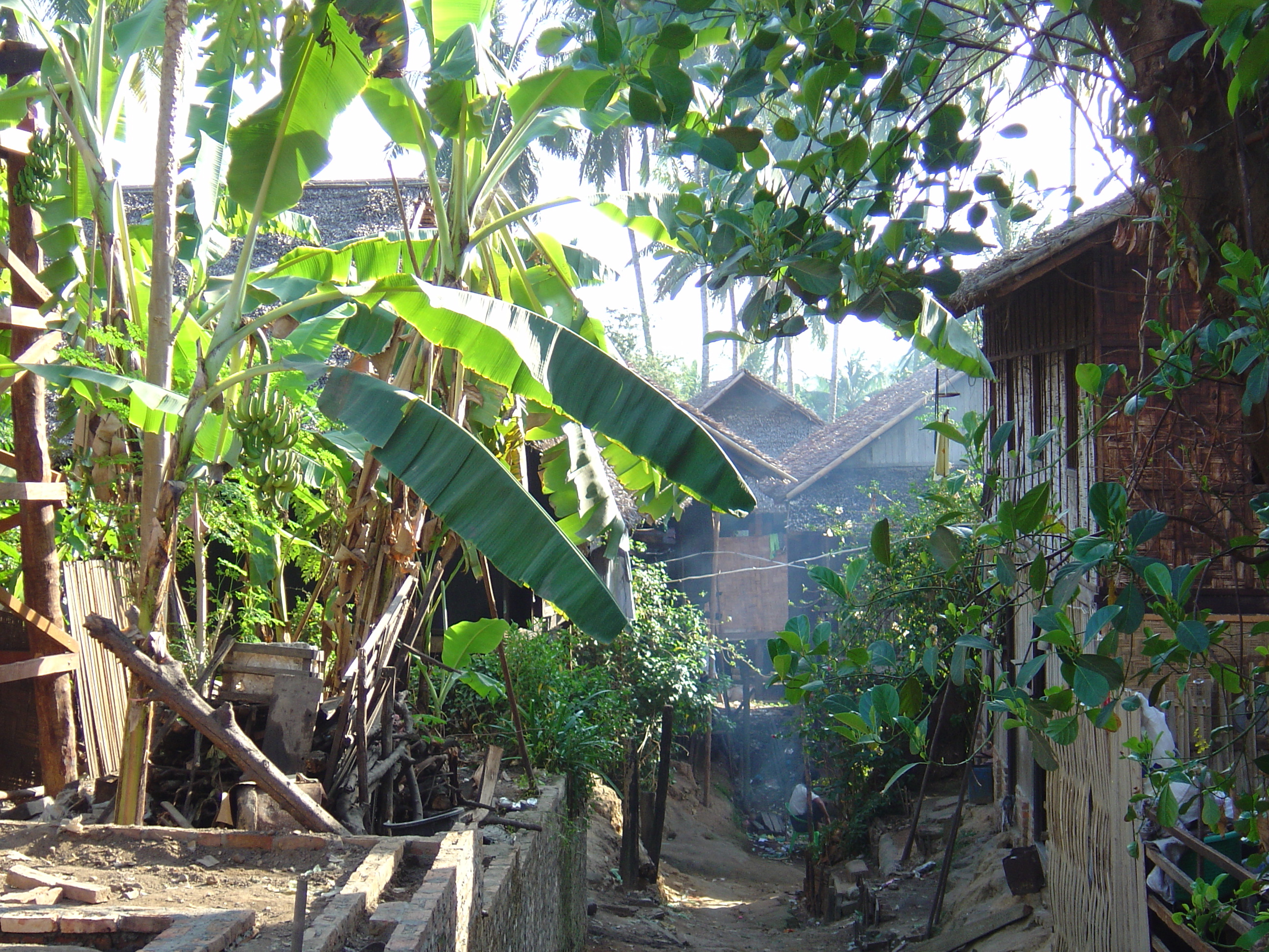 Photo Birmanie (Myanmar) Myeik (Mergui) 2005-01 174