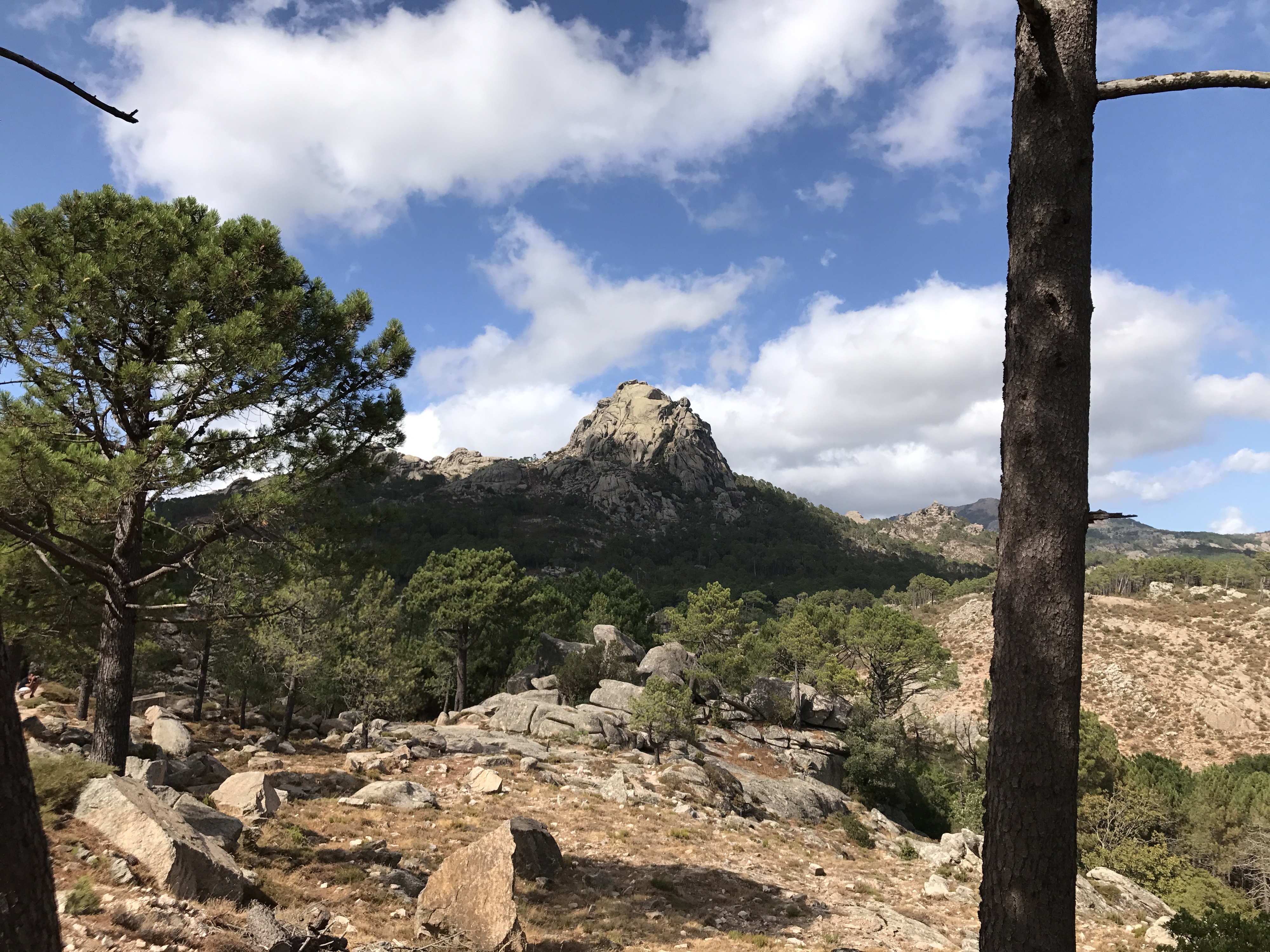 Photo France Corse Forêt de l'Ospedale 2017-09 3