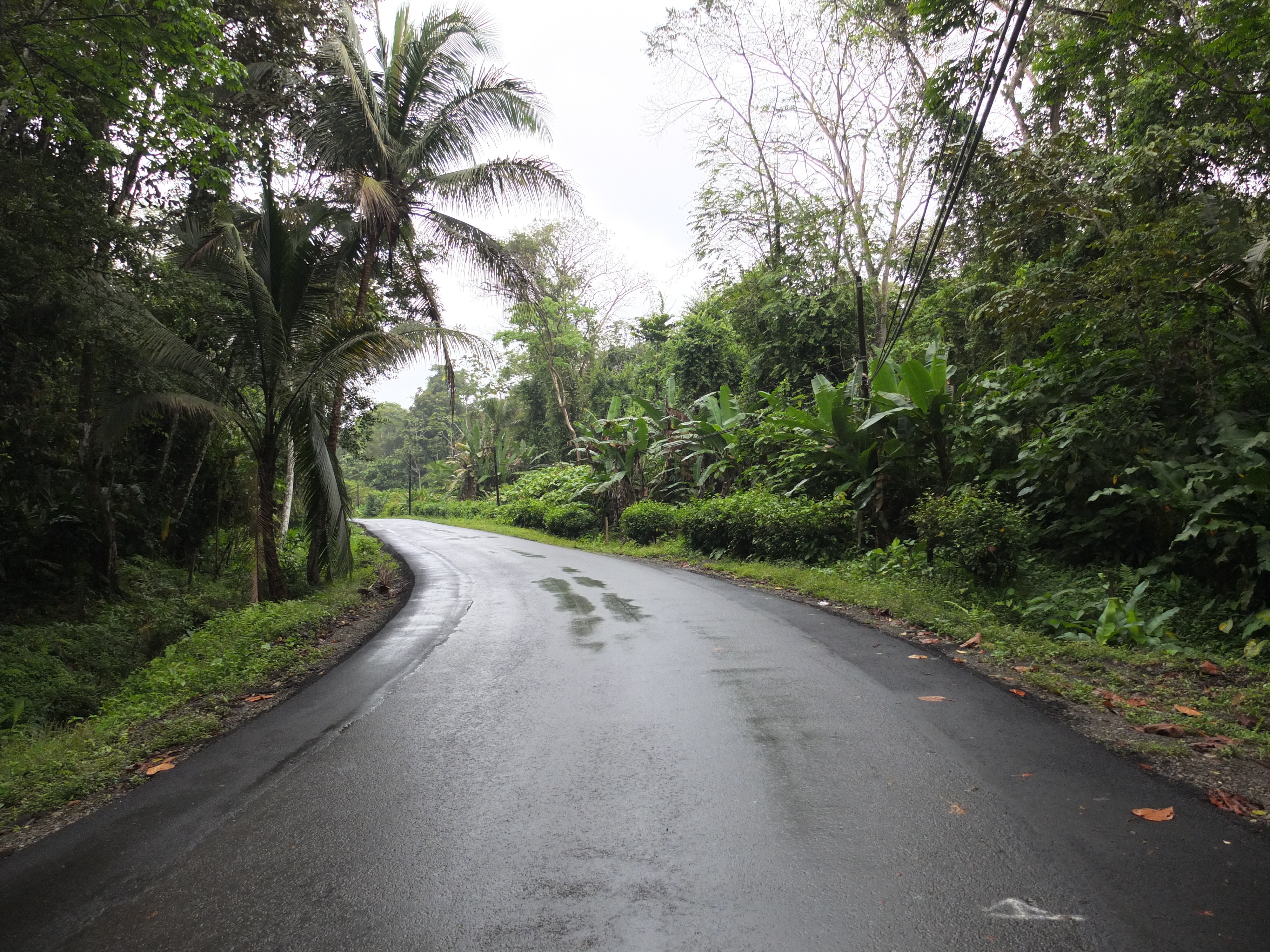 Photo Costa Rica Puerto Viejo de Talamanca 2015-03 32