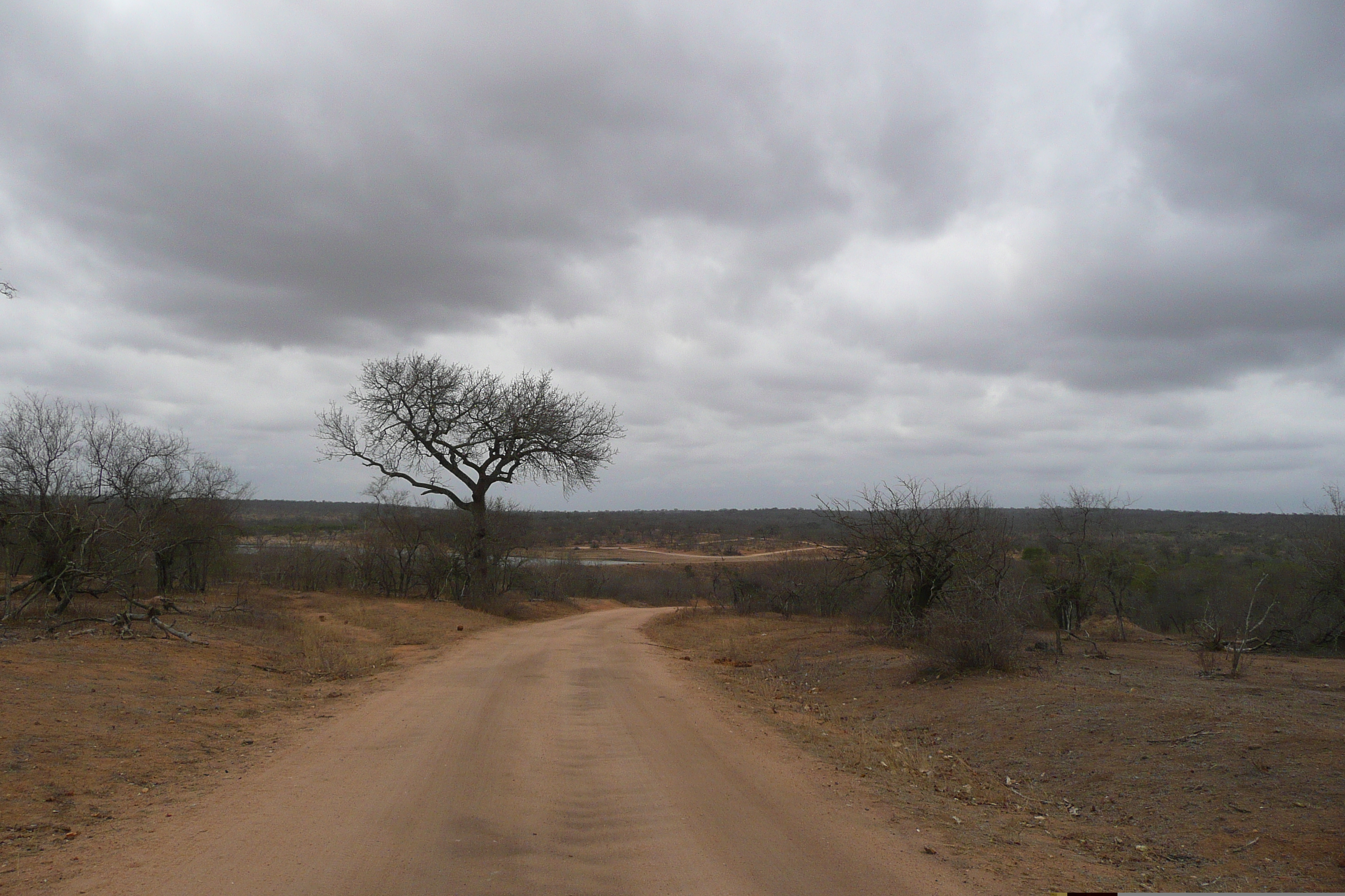 Photo Afrique du Sud Parc National Kruger Mpondo 2008-09 25