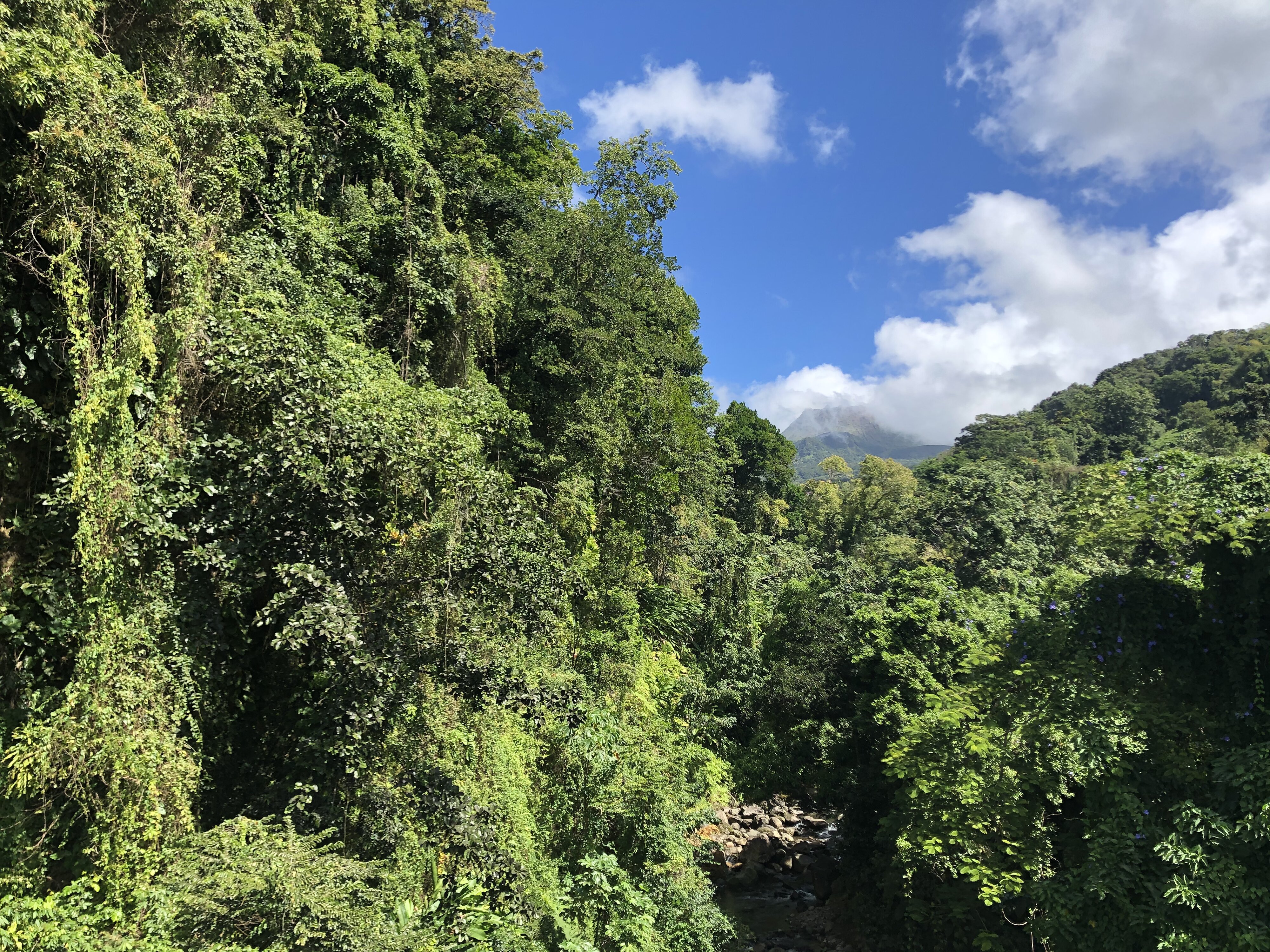Photo Guadeloupe La Grande Soufrière 2021-02 43