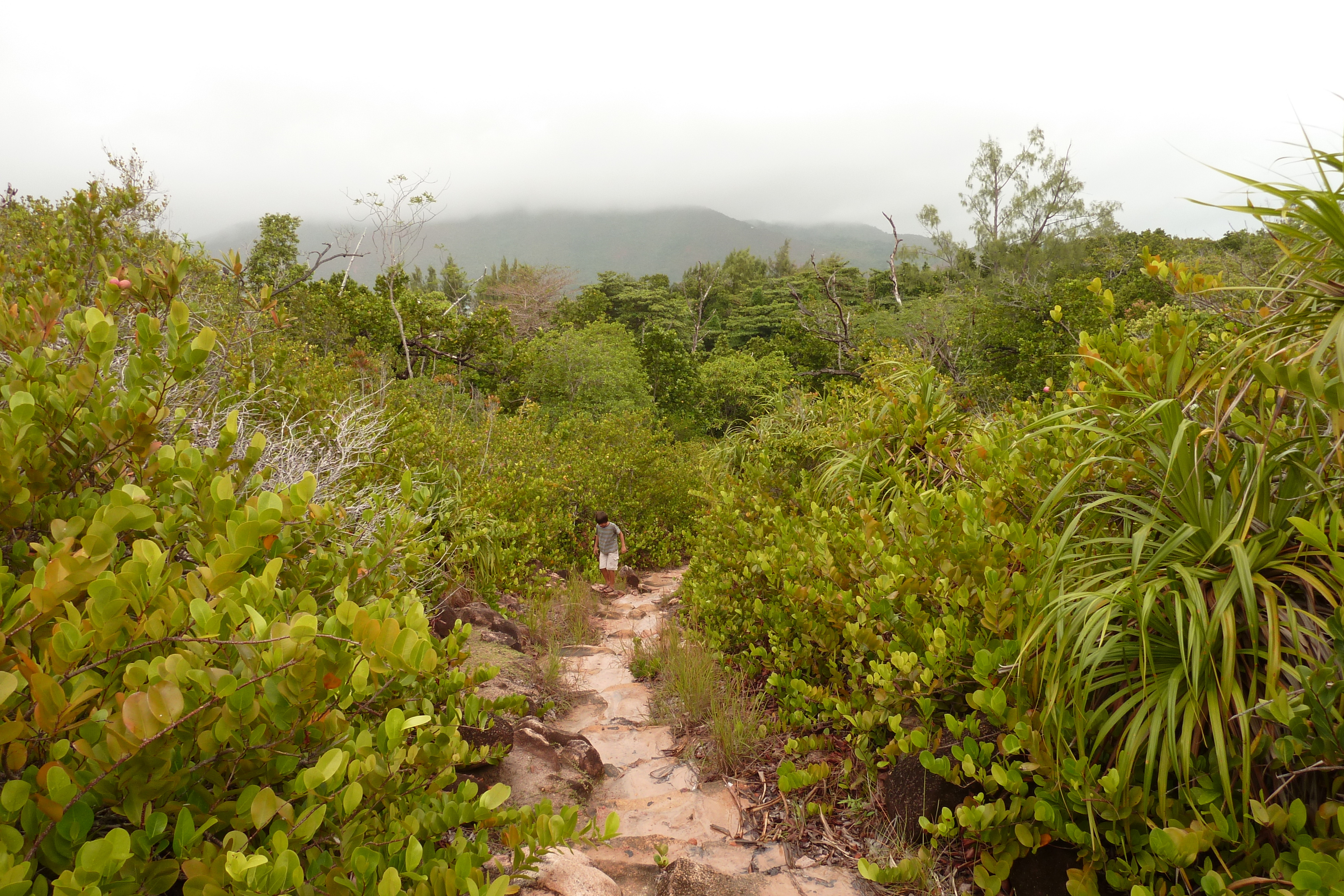 Photo Seychelles Curieuse 2011-10 4