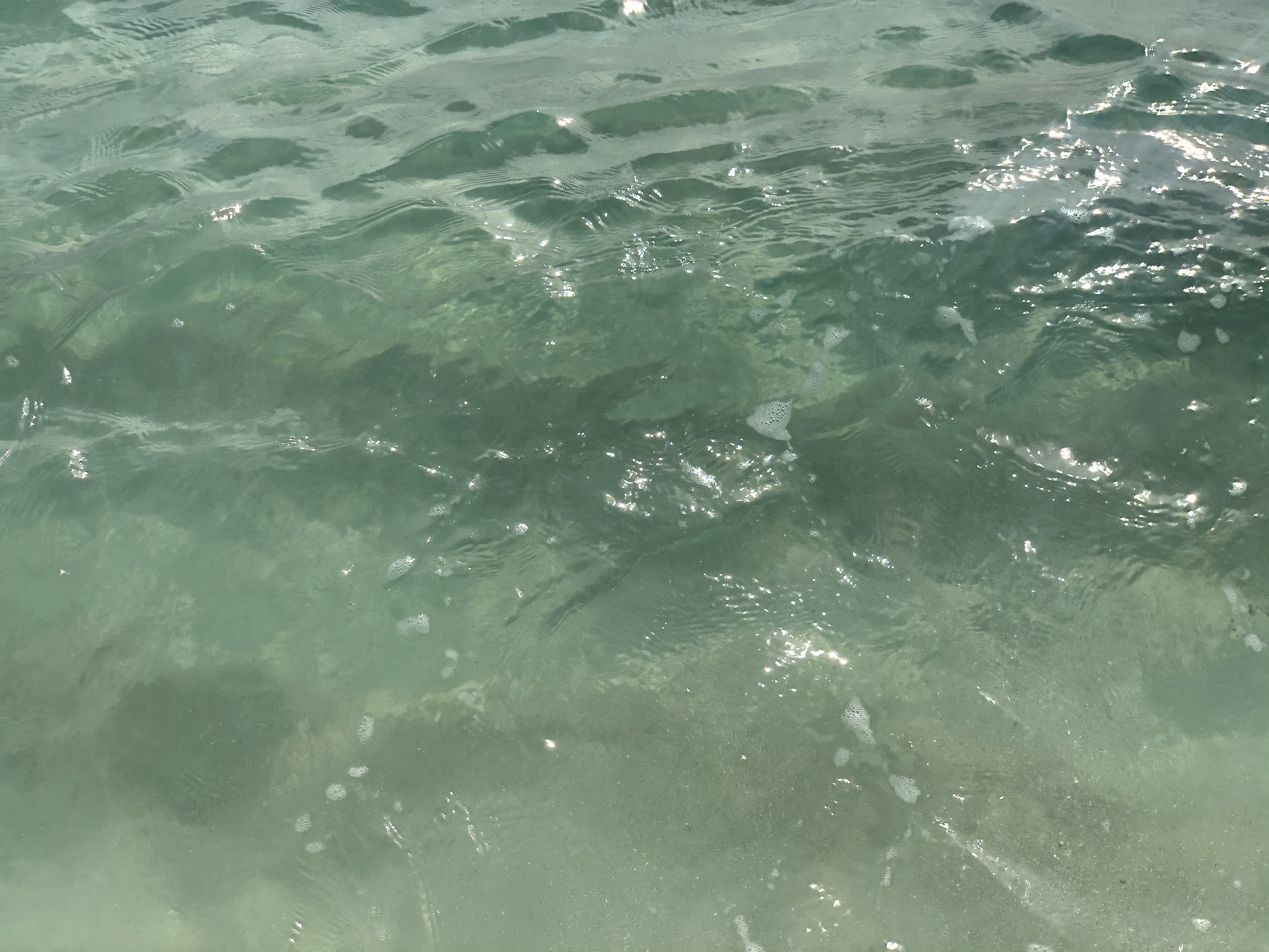 Photo Guadeloupe Plage de la Caravelle 2021-02 95