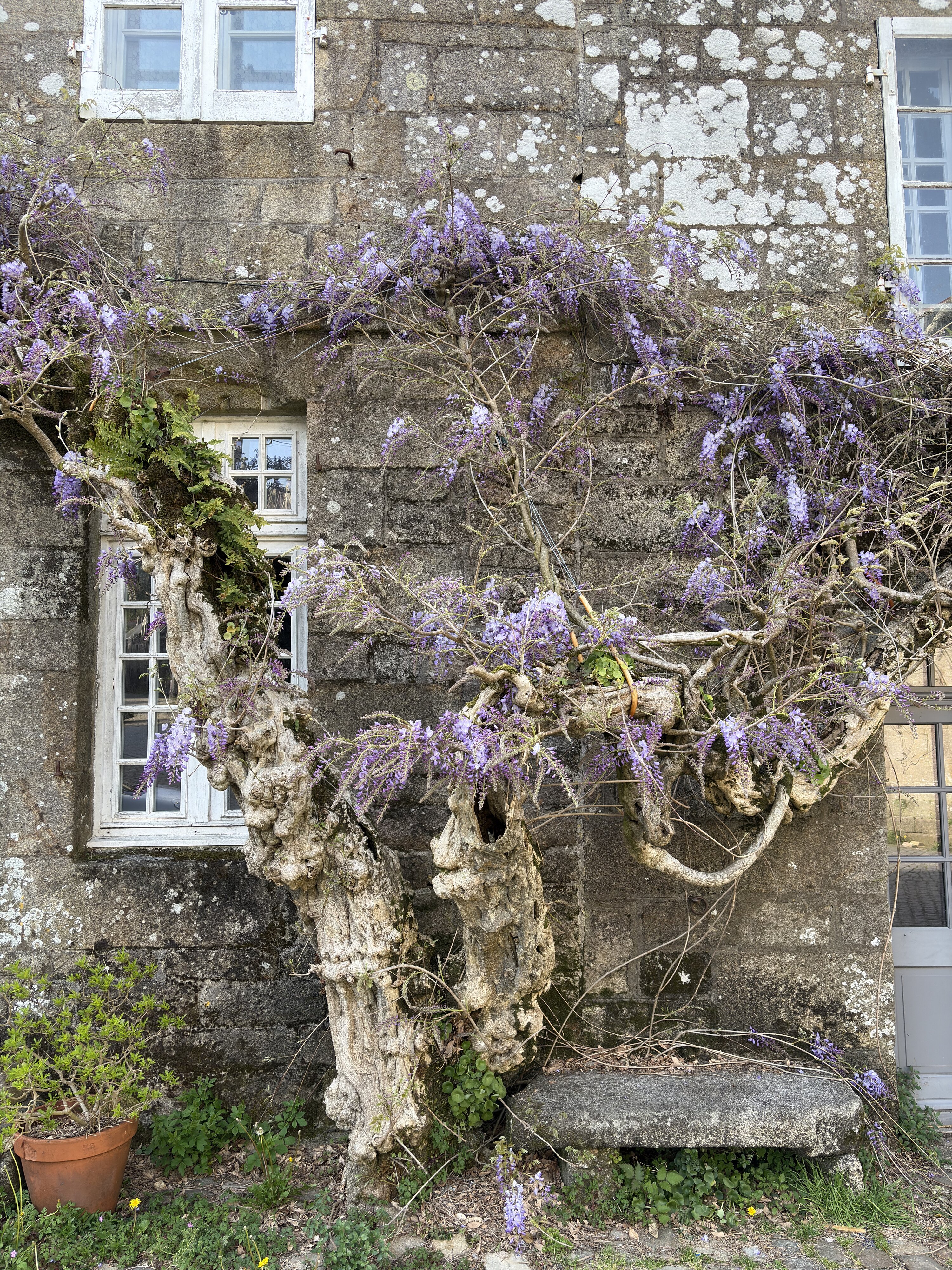 Photo France Locronan 2026-04 89