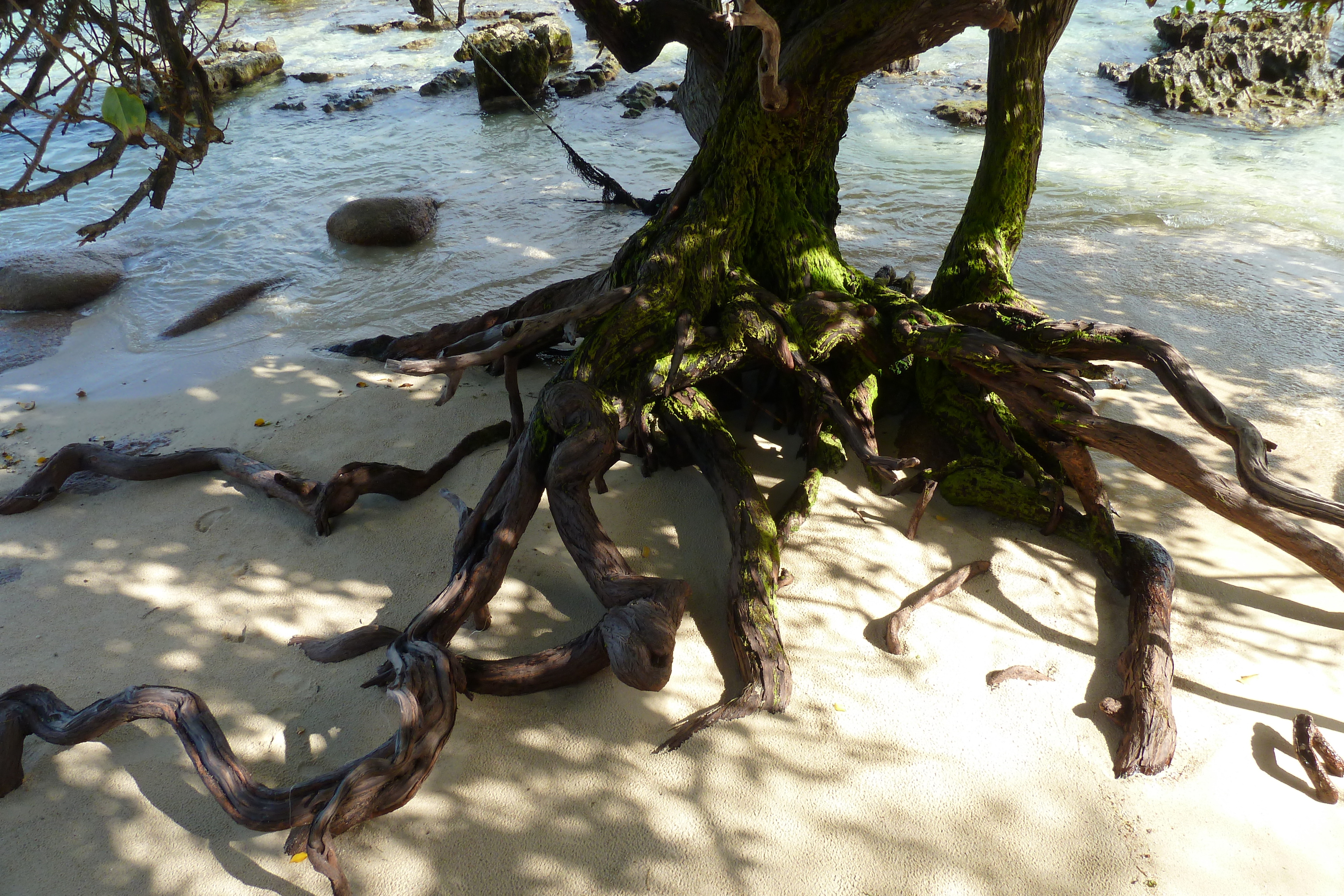 Photo Seychelles 2011-10 179
