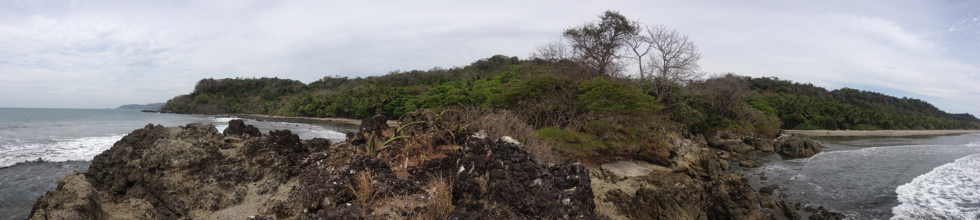 Photo Costa Rica Montezuma 2015-03 441