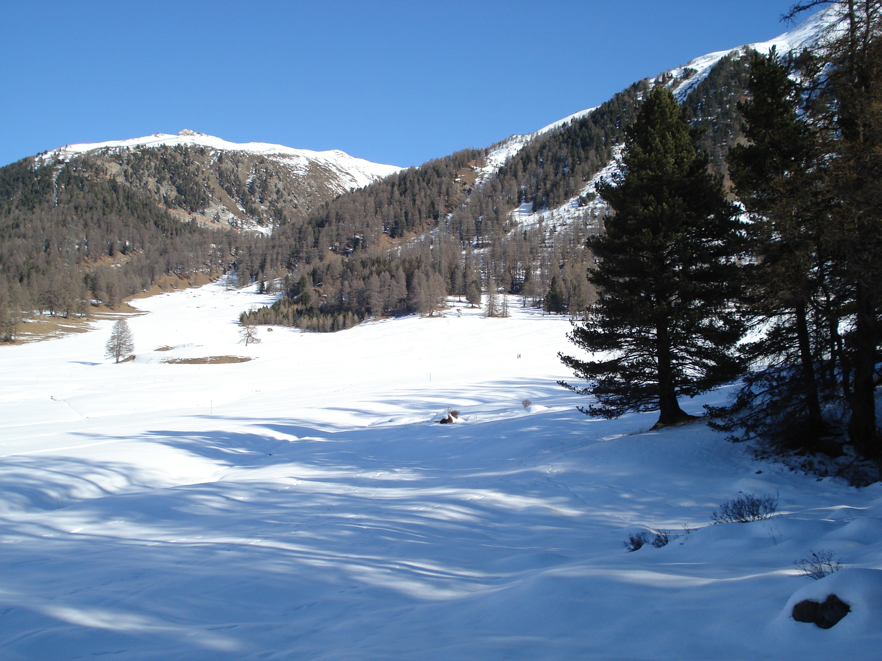 Photo Suisse Pontresina 2007-01 174