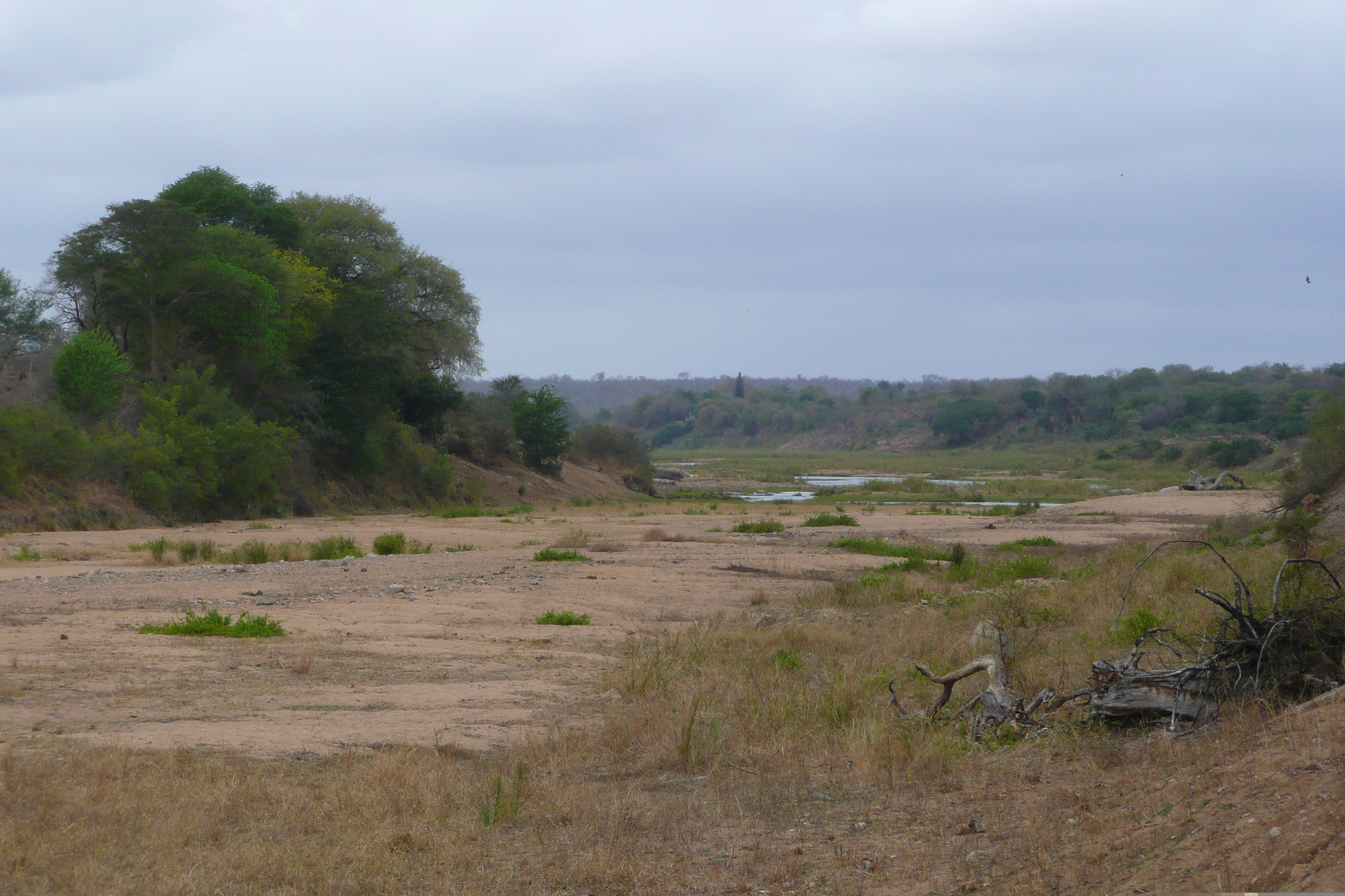 Photo Afrique du Sud Parc National Kruger rivière Crocodile 2008-09 45