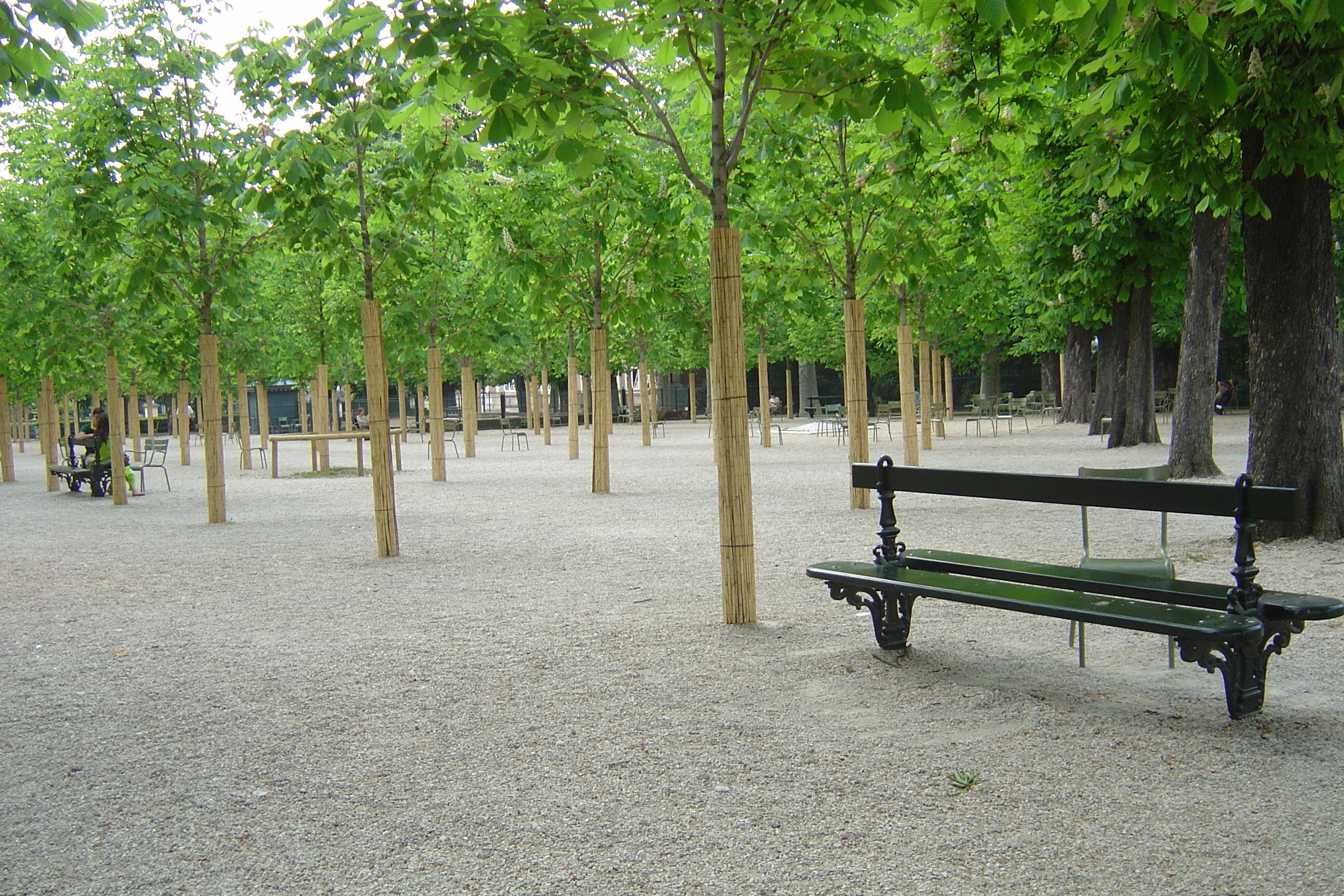 Photo France Paris Jardin du Luxembourg 2007-04 108