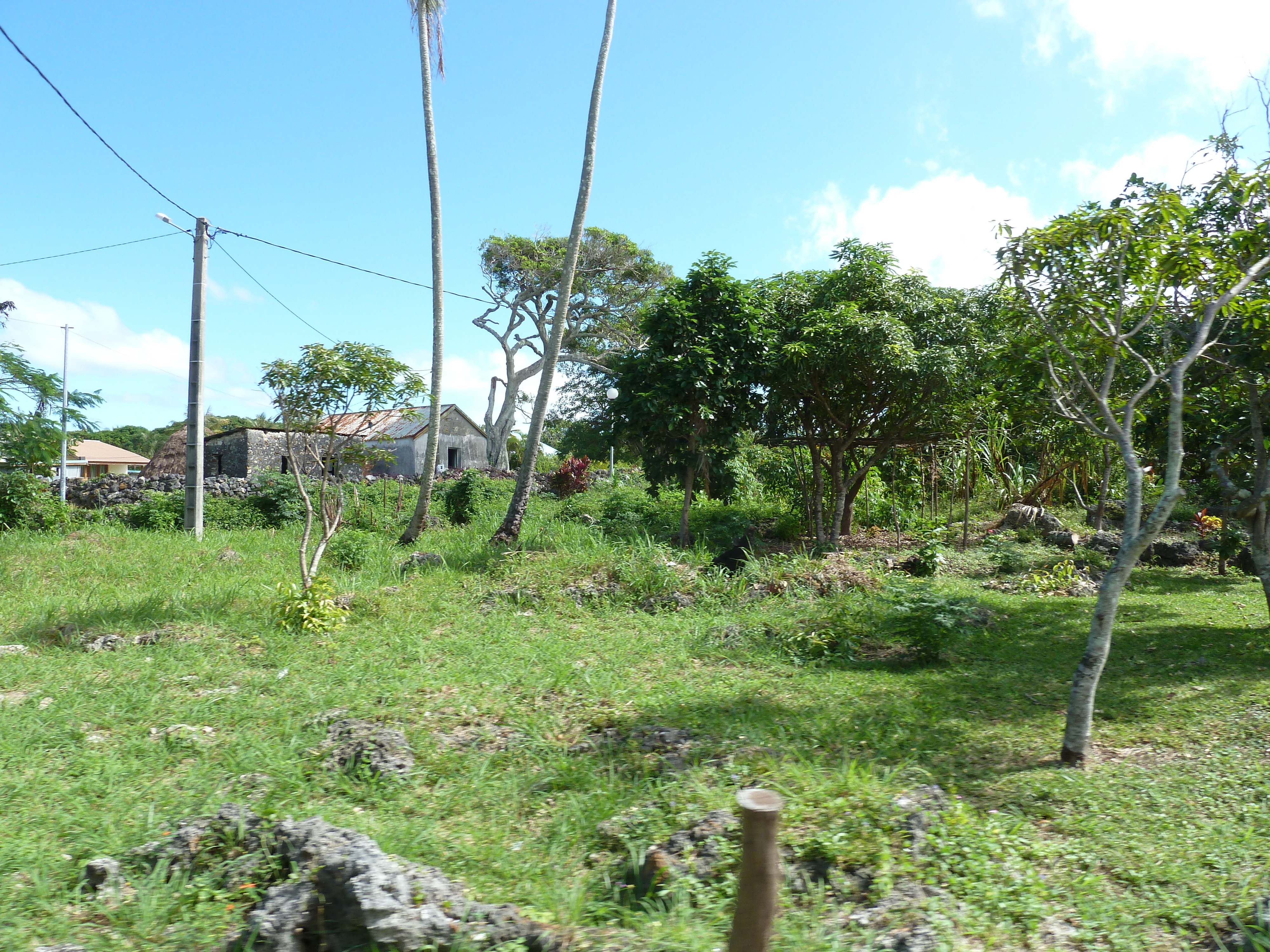 Photo Nouvelle-Calédonie Lifou 2010-05 18