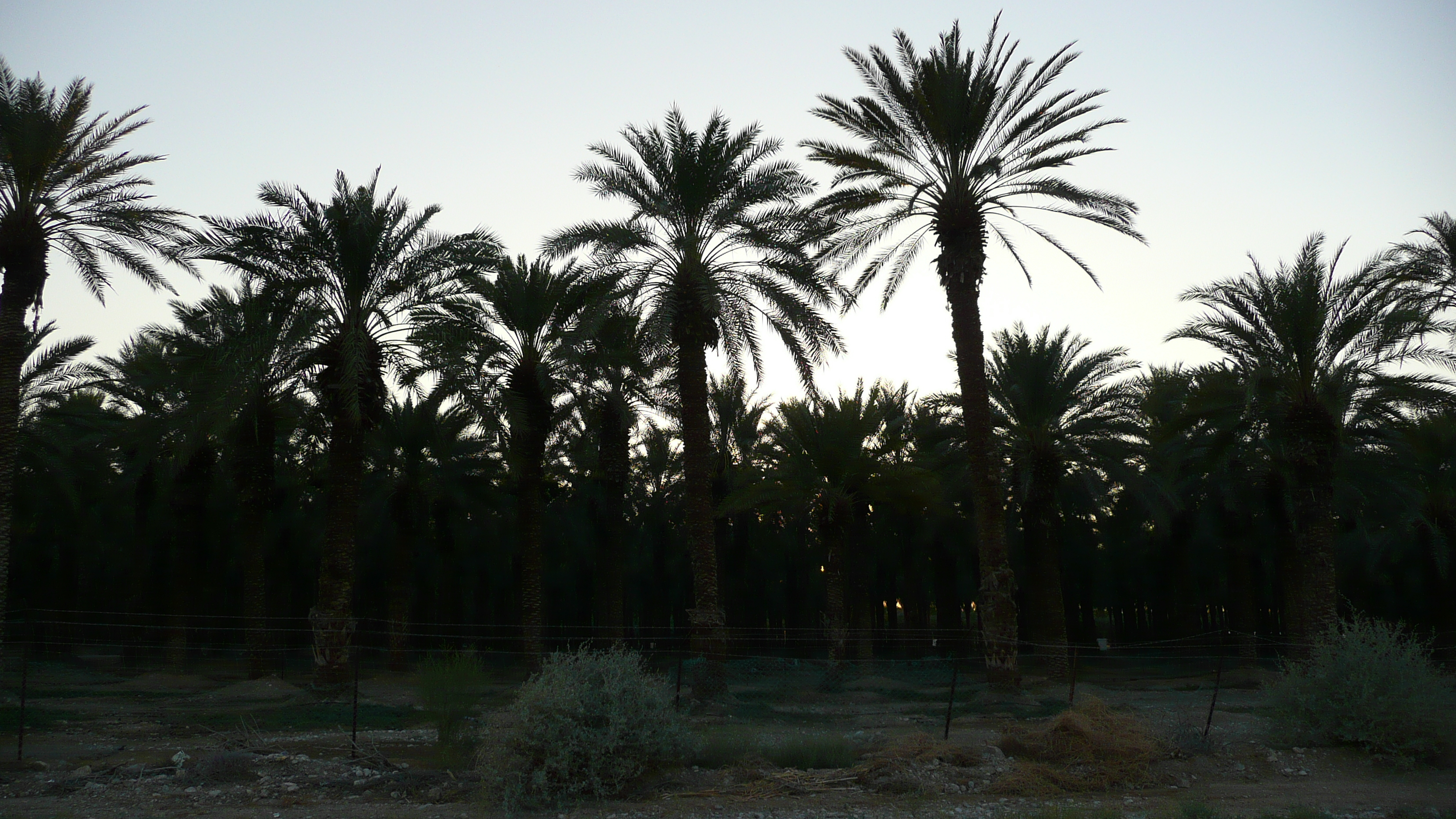Photo Israel Mer Morte 2007-06 141
