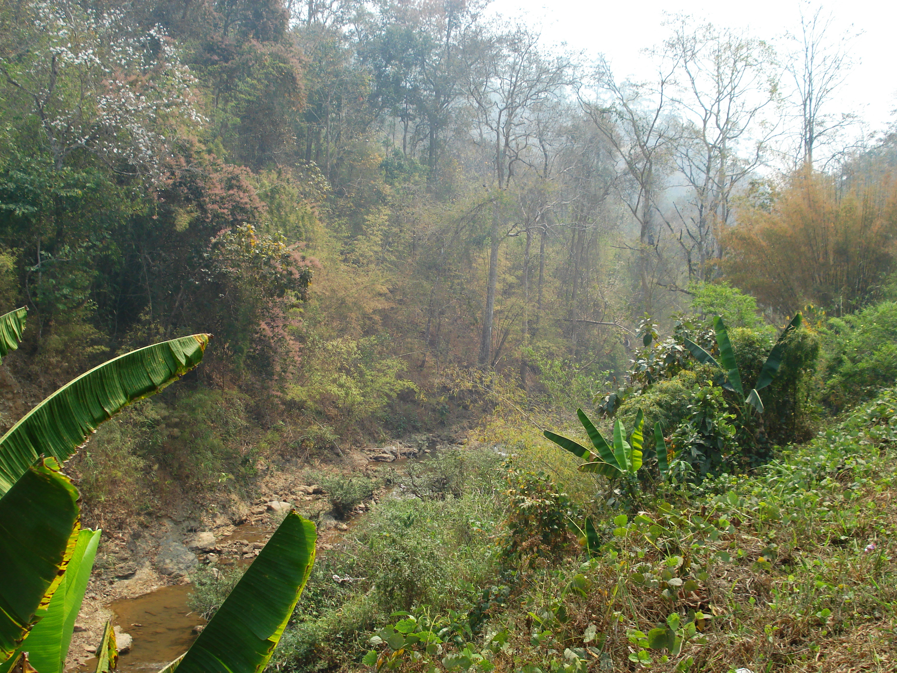 Photo Thaïlande Route de Pang Mapha à Pai 2007-02 20