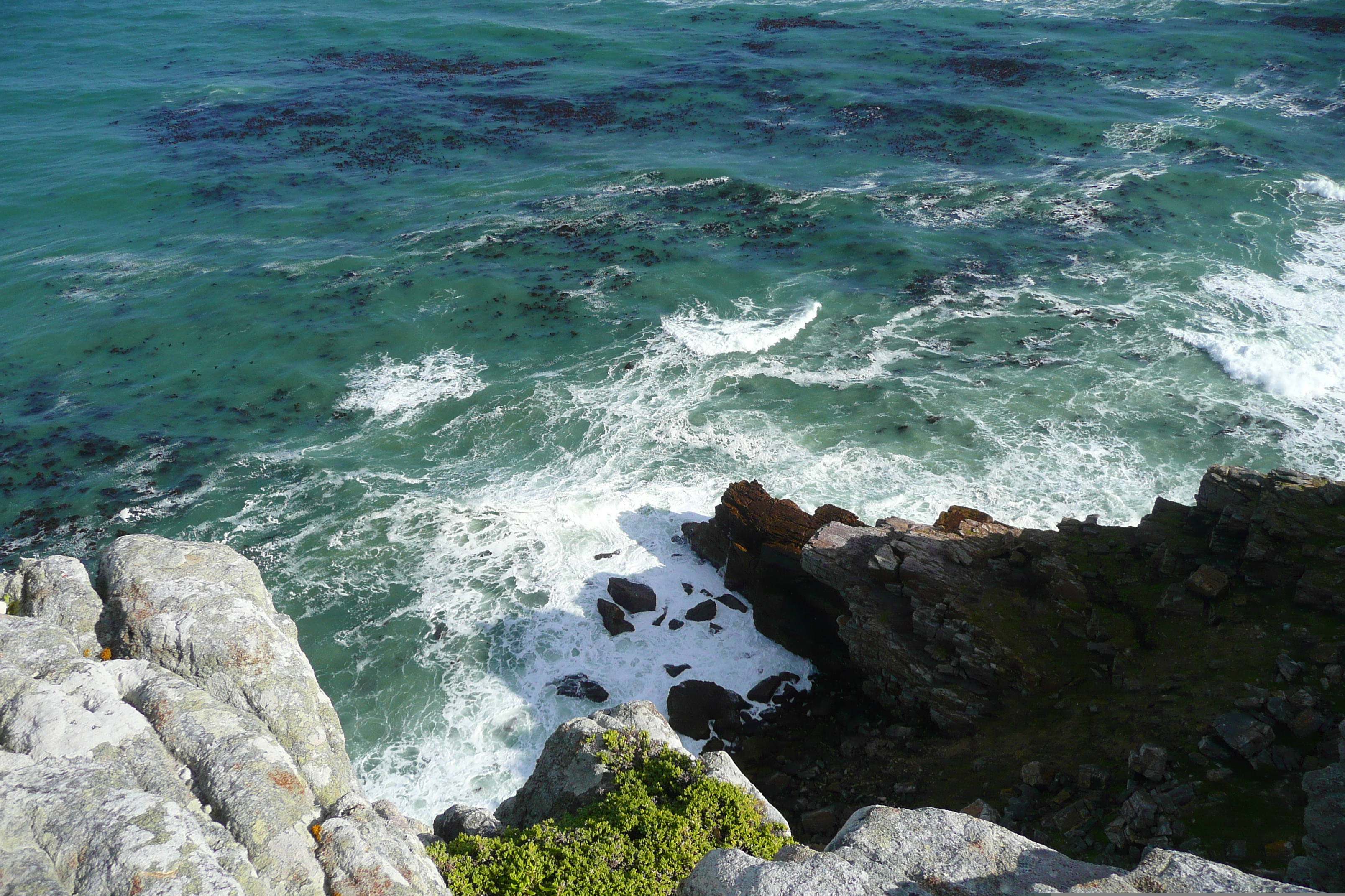 Photo Afrique du Sud Cap de Bonne Espérance pointe du cap de Bonne Espérance 2008-09 74