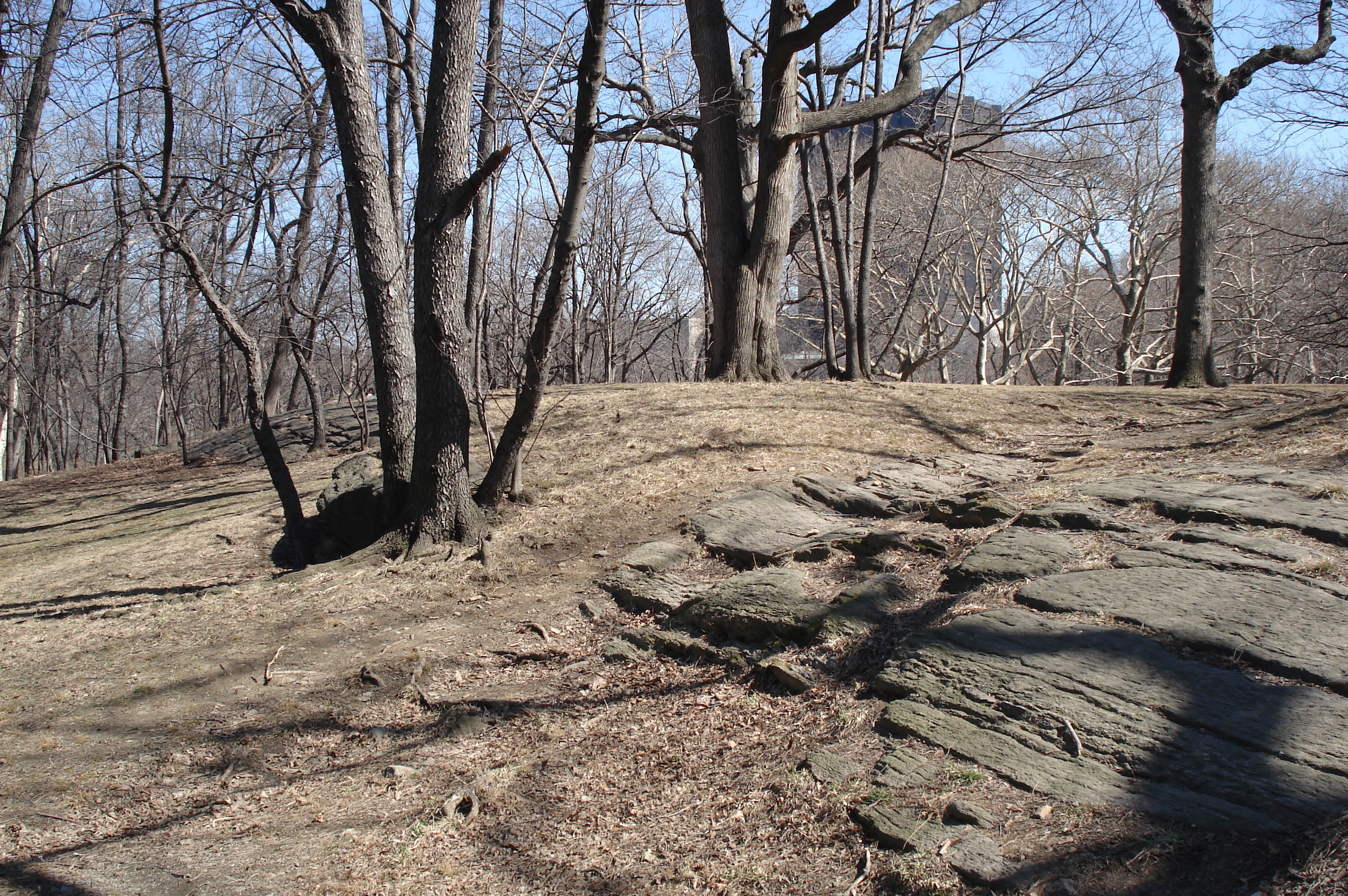 Photo États-Unis New York Central Park 2006-03 77