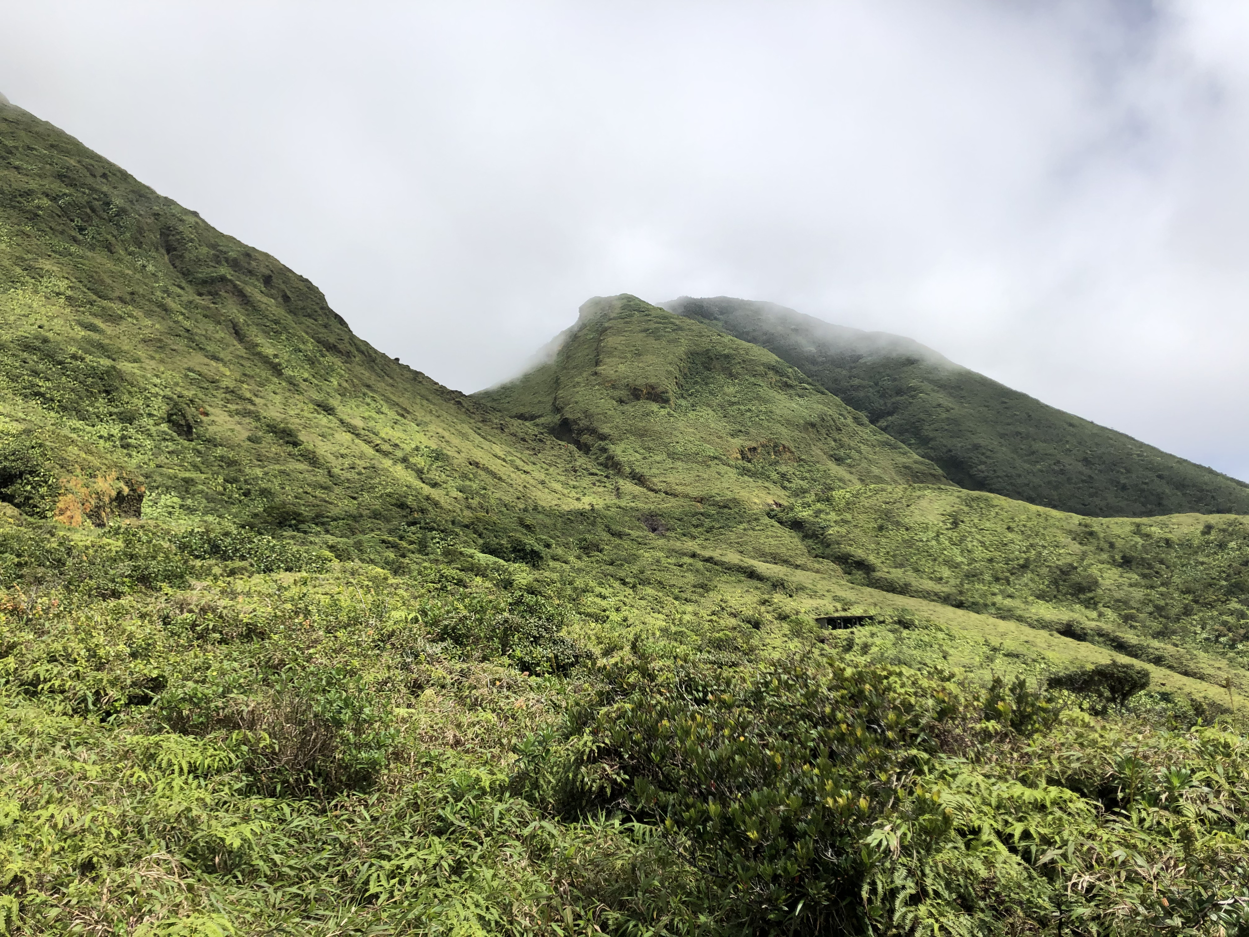 Photo Guadeloupe La Grande Soufrière 2021-02 64