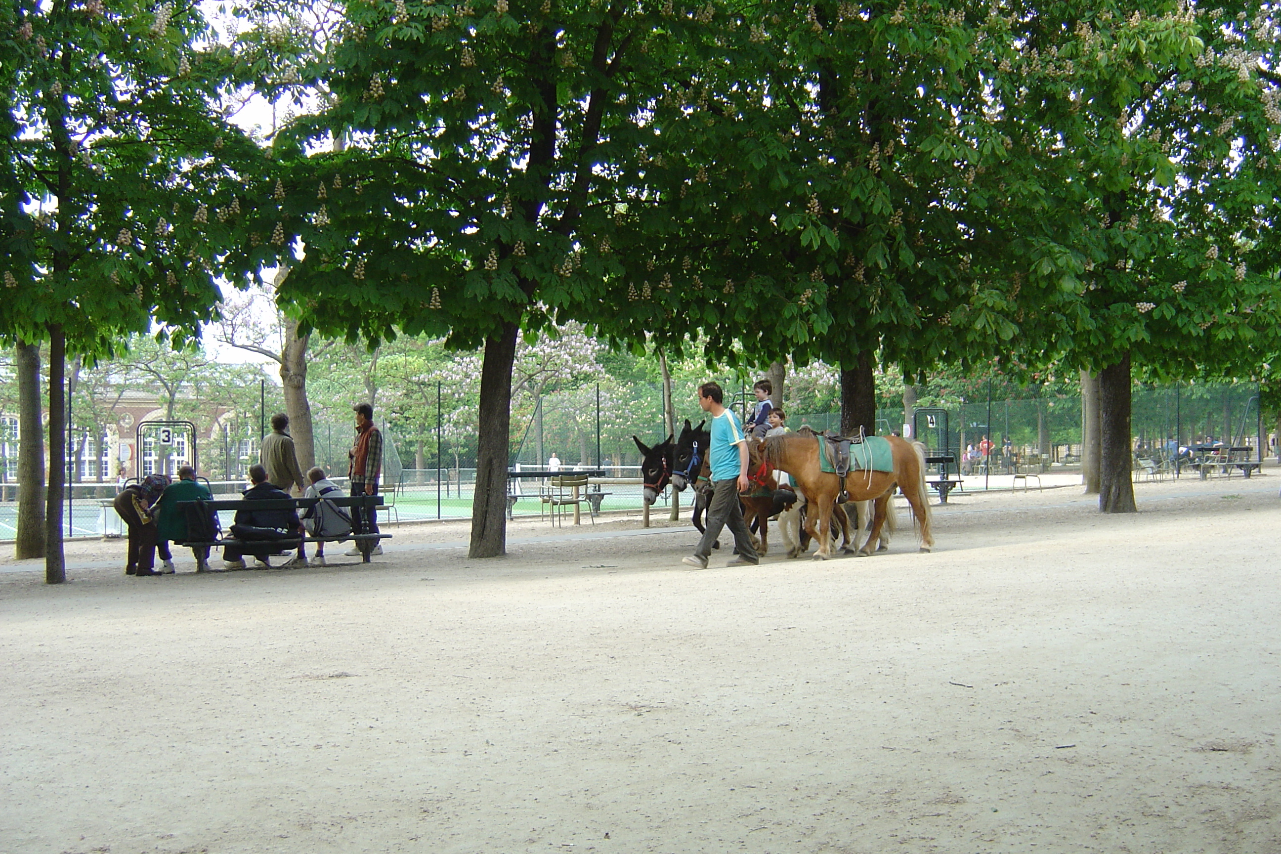 Photo France Paris Jardin du Luxembourg 2007-04 33