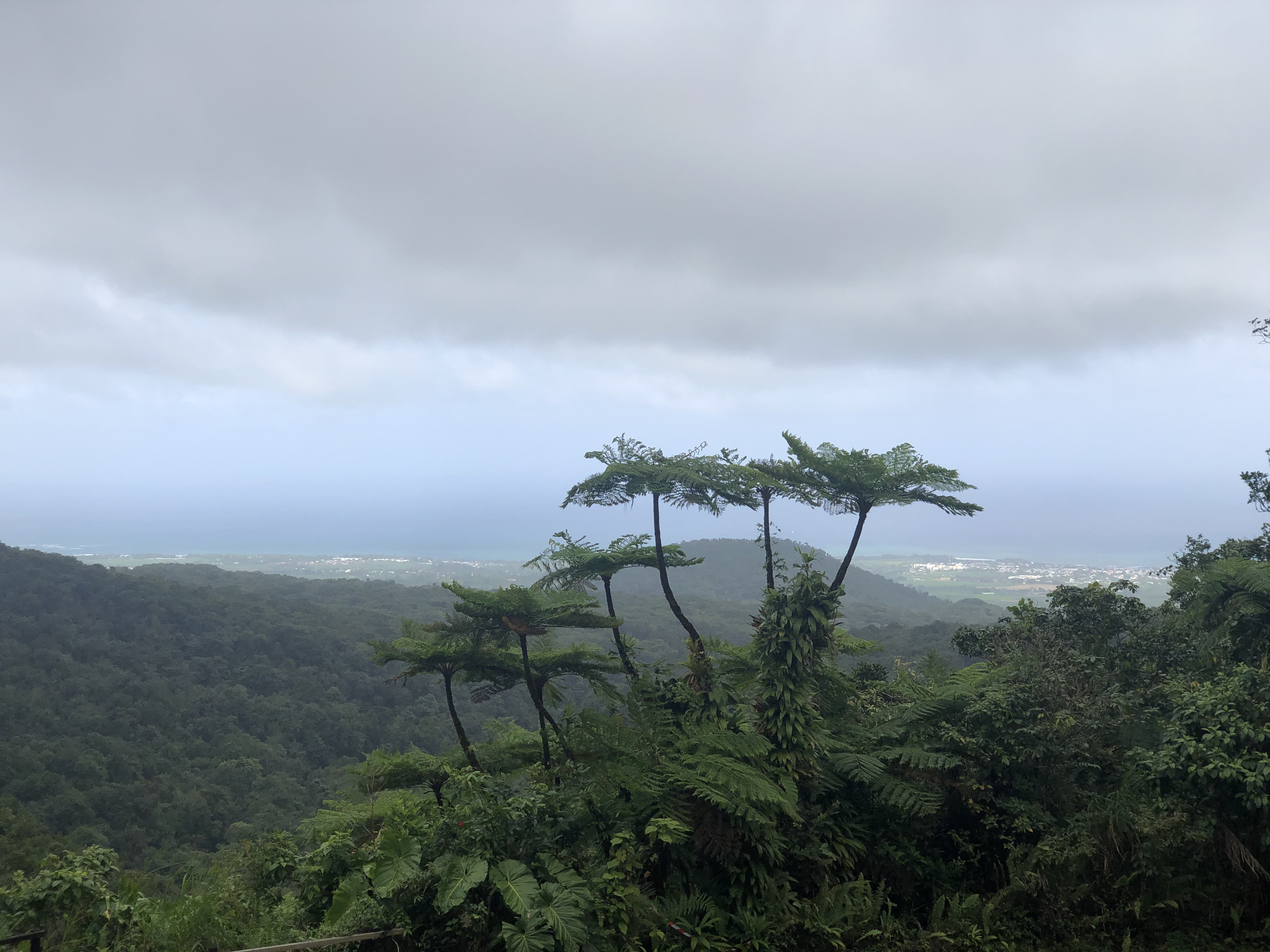 Photo Guadeloupe Chute du Carbet 2021-02 48