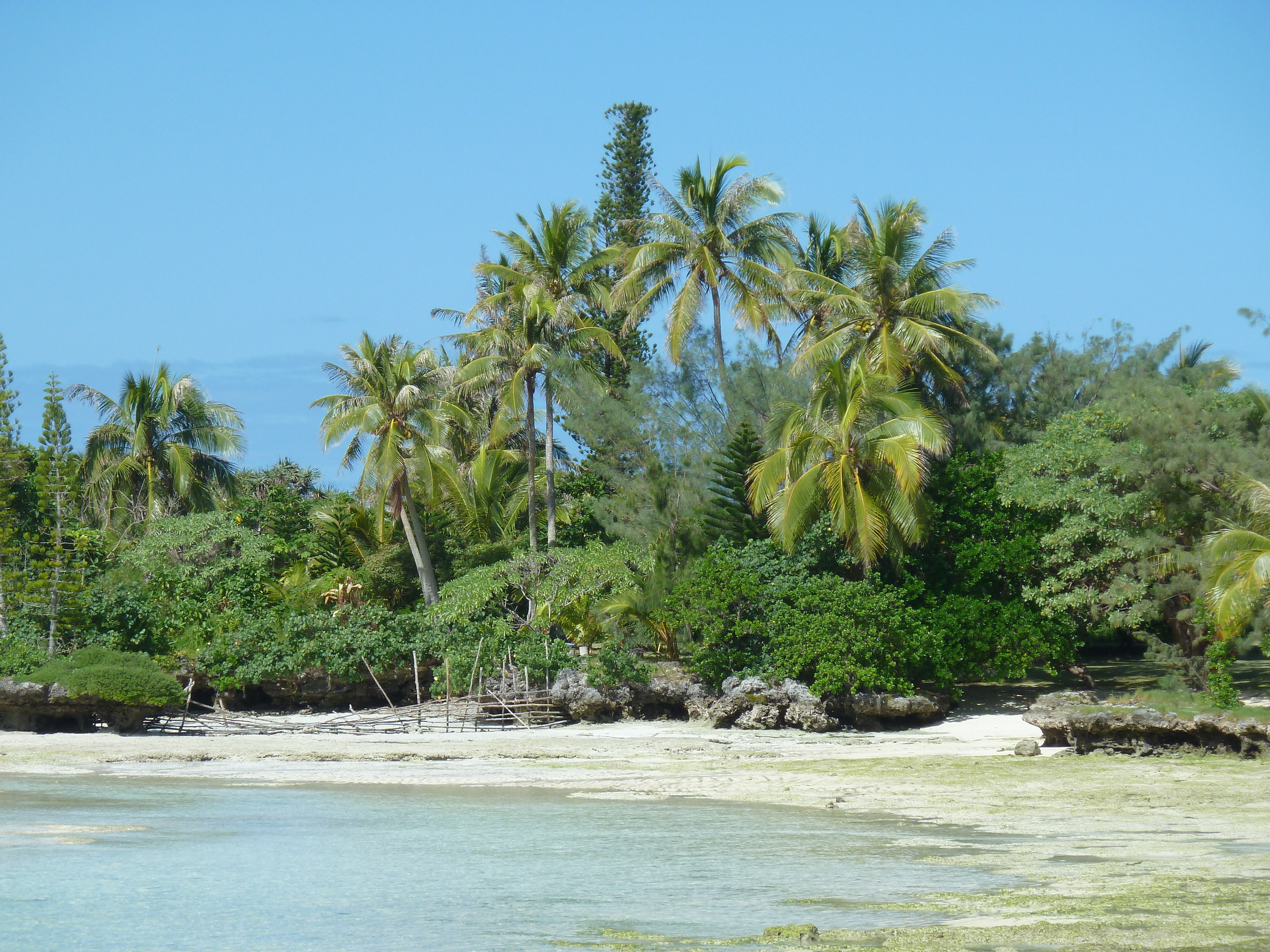 Photo Nouvelle-Calédonie Lifou Mu 2010-05 2