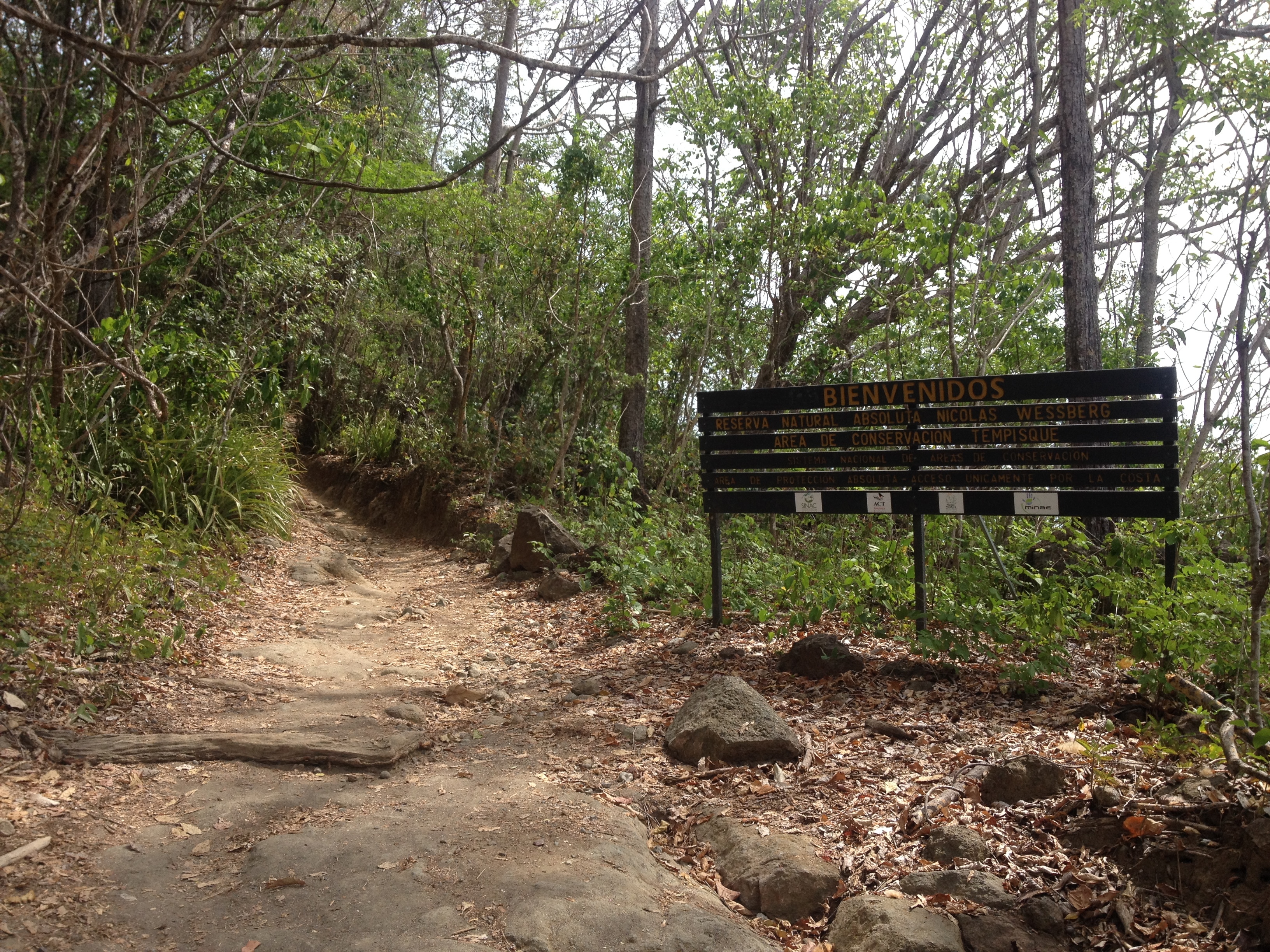 Photo Costa Rica Montezuma 2015-03 507