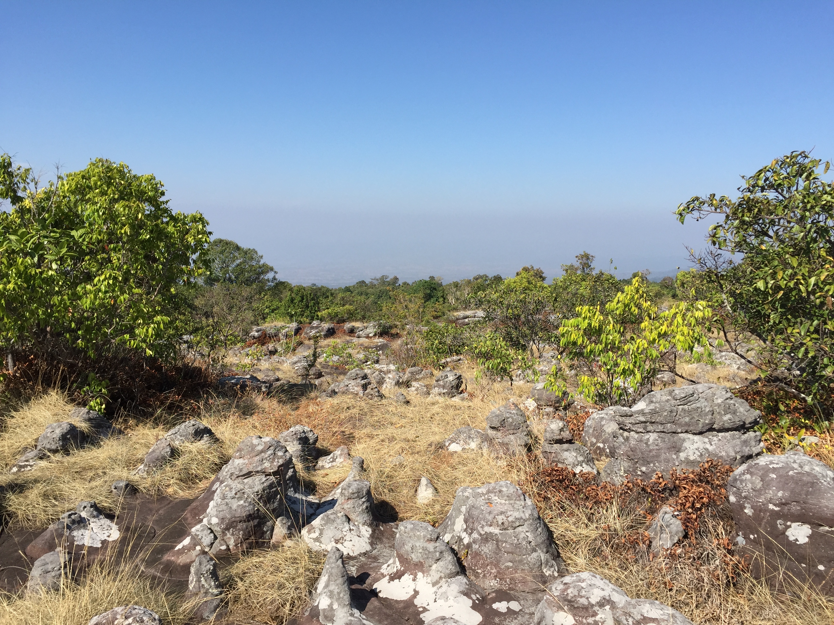 Photo Thaïlande Parc National Phu Hin Rong Kla 2014-12 208