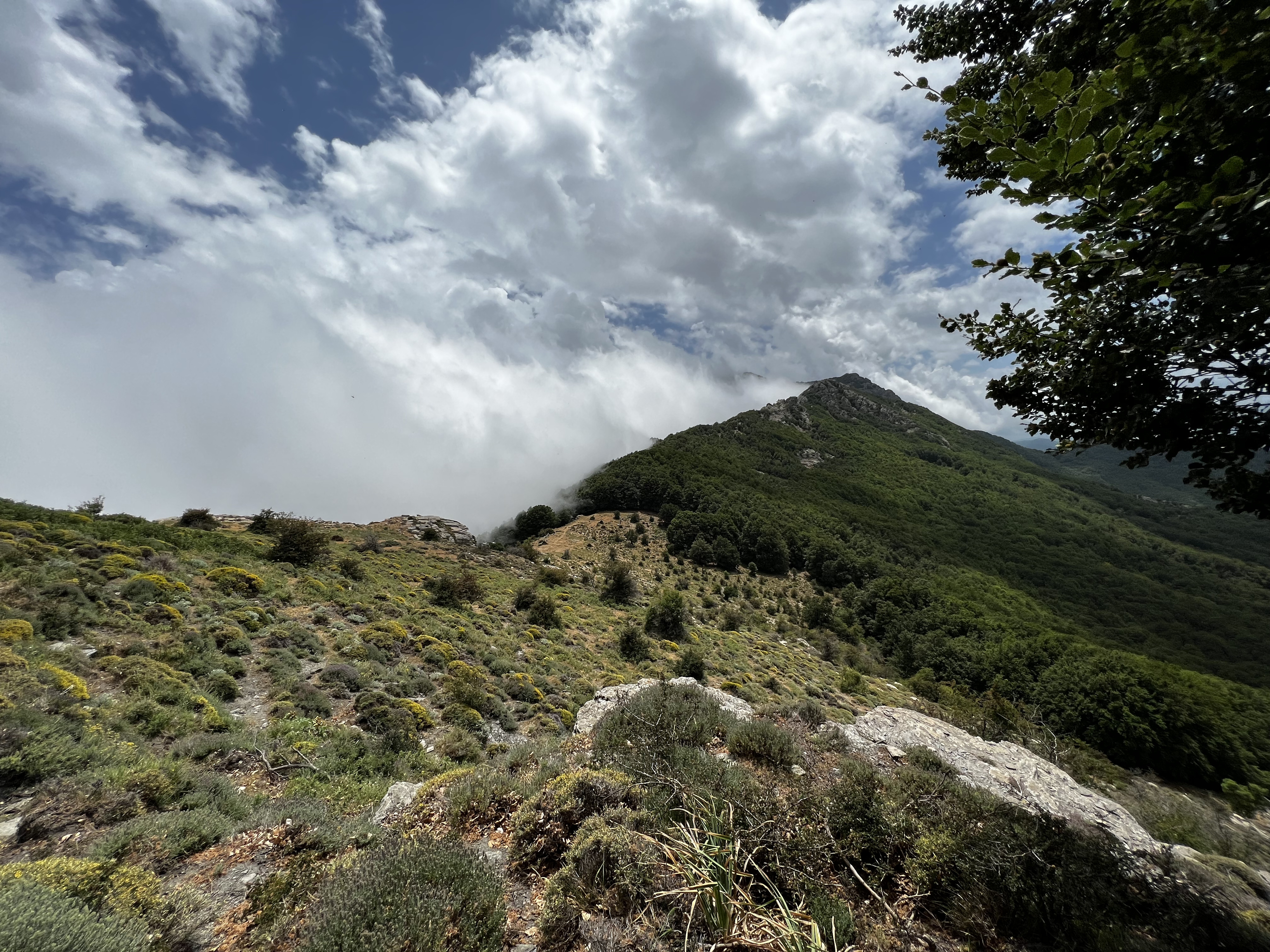 Photo France Corse Refuge de Callerucciu 2022-06 59