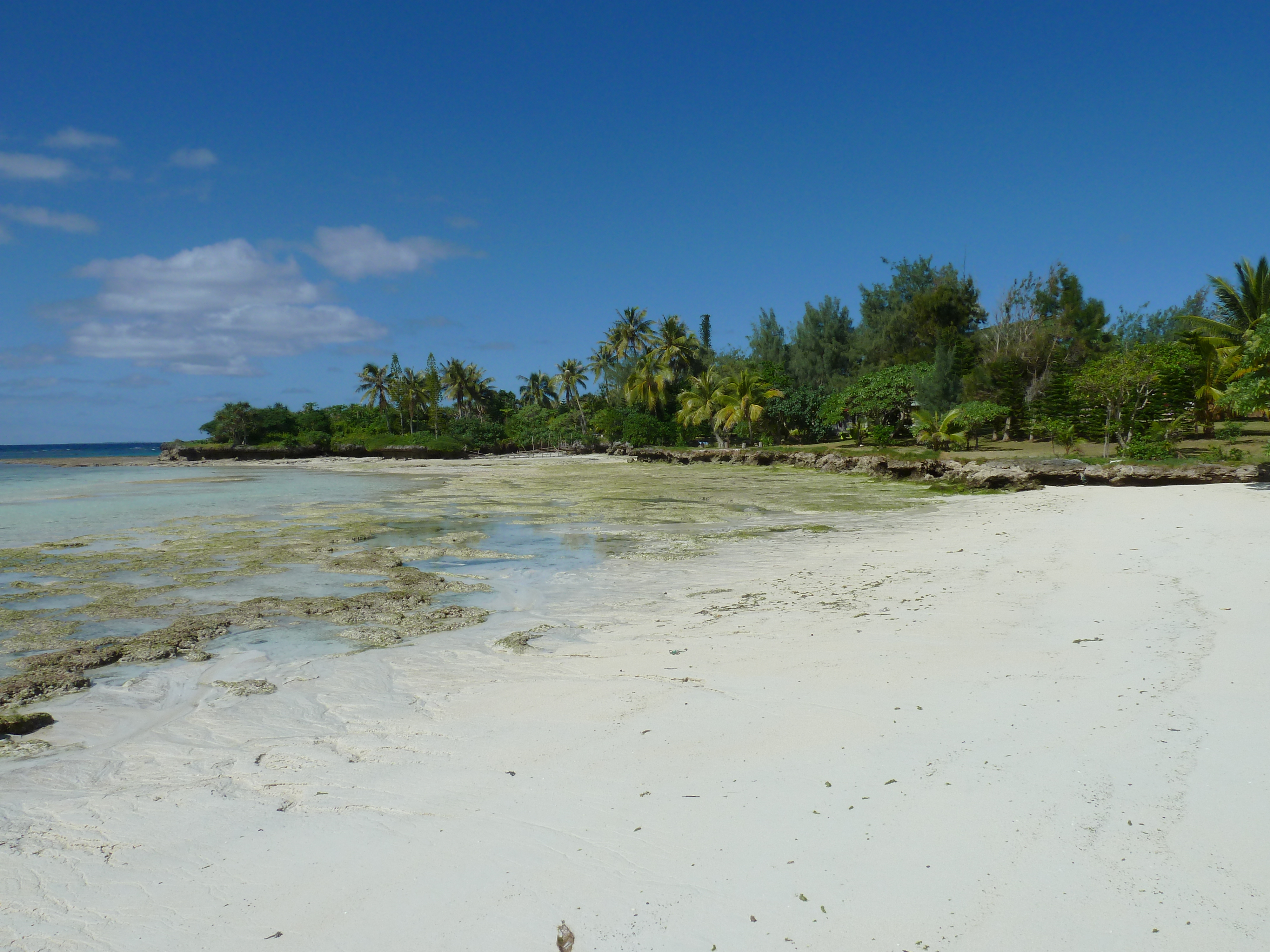 Photo Nouvelle-Calédonie Lifou Mu 2010-05 19