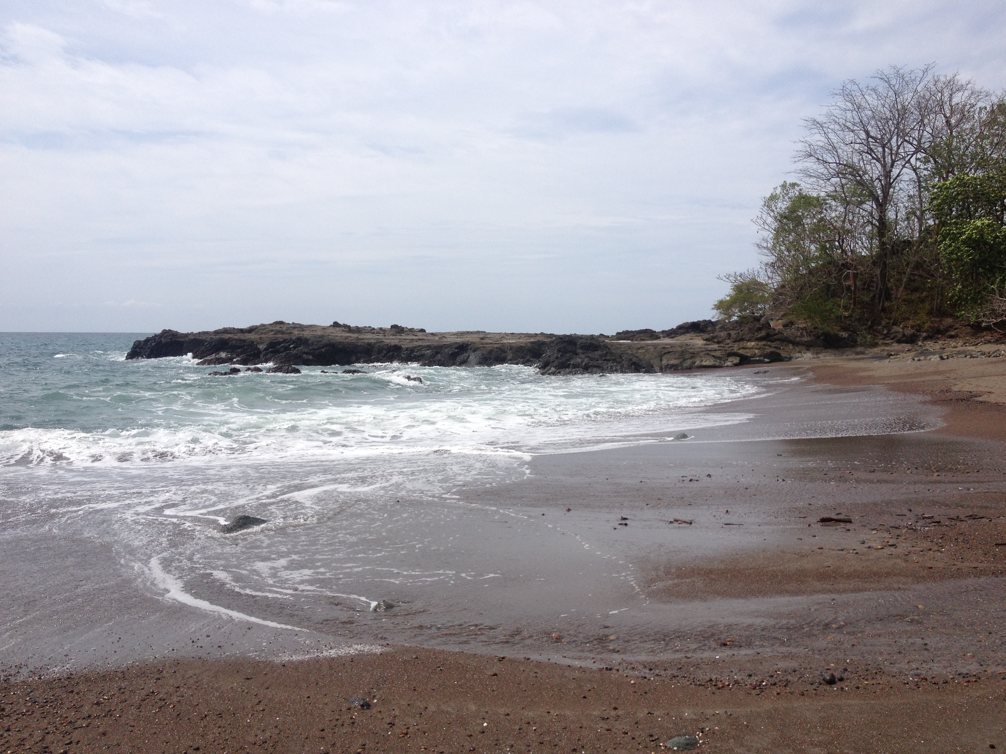 Photo Costa Rica Montezuma 2015-03 591