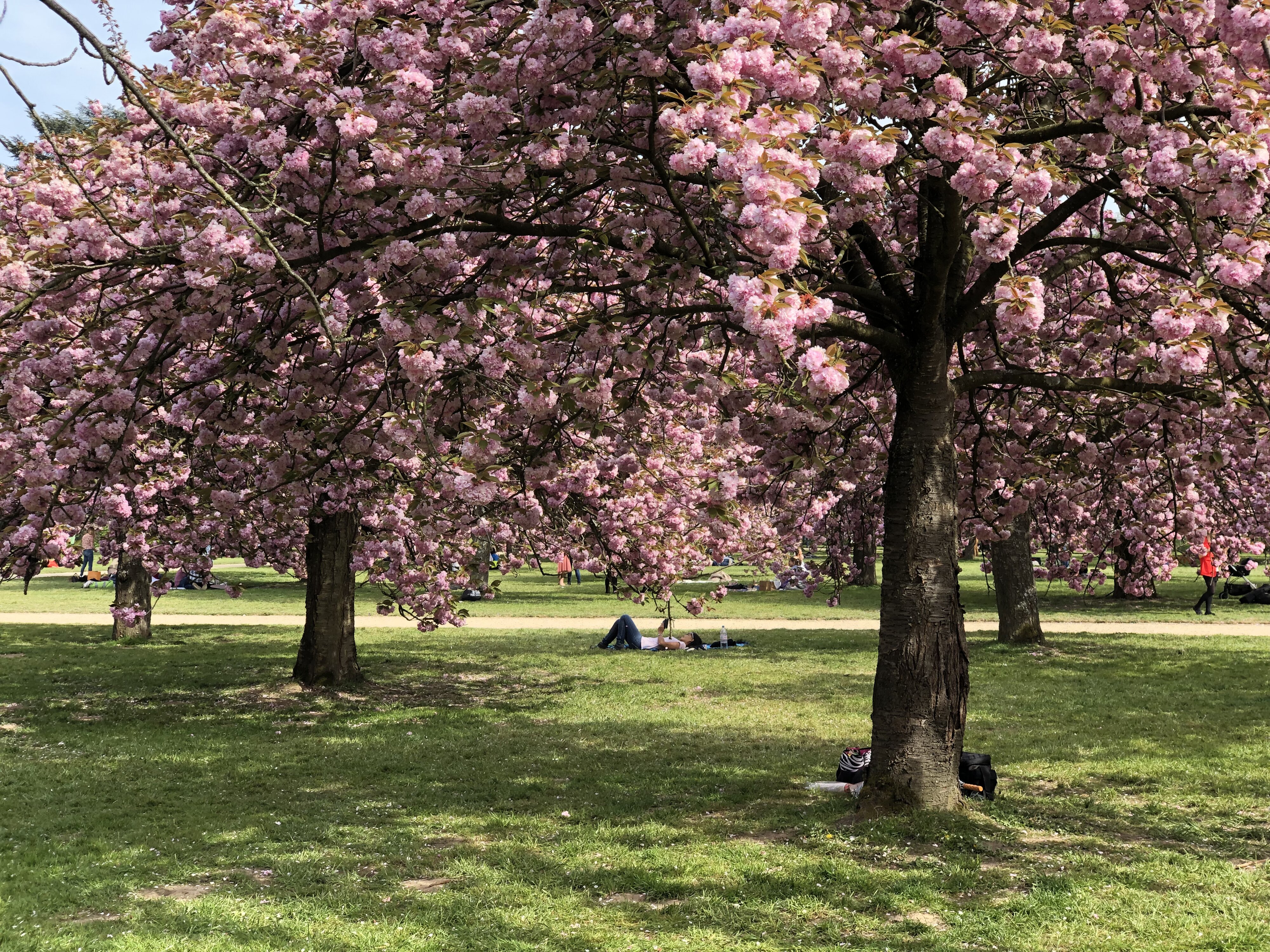 Photo France Parc de Sceaux 2019-04 94