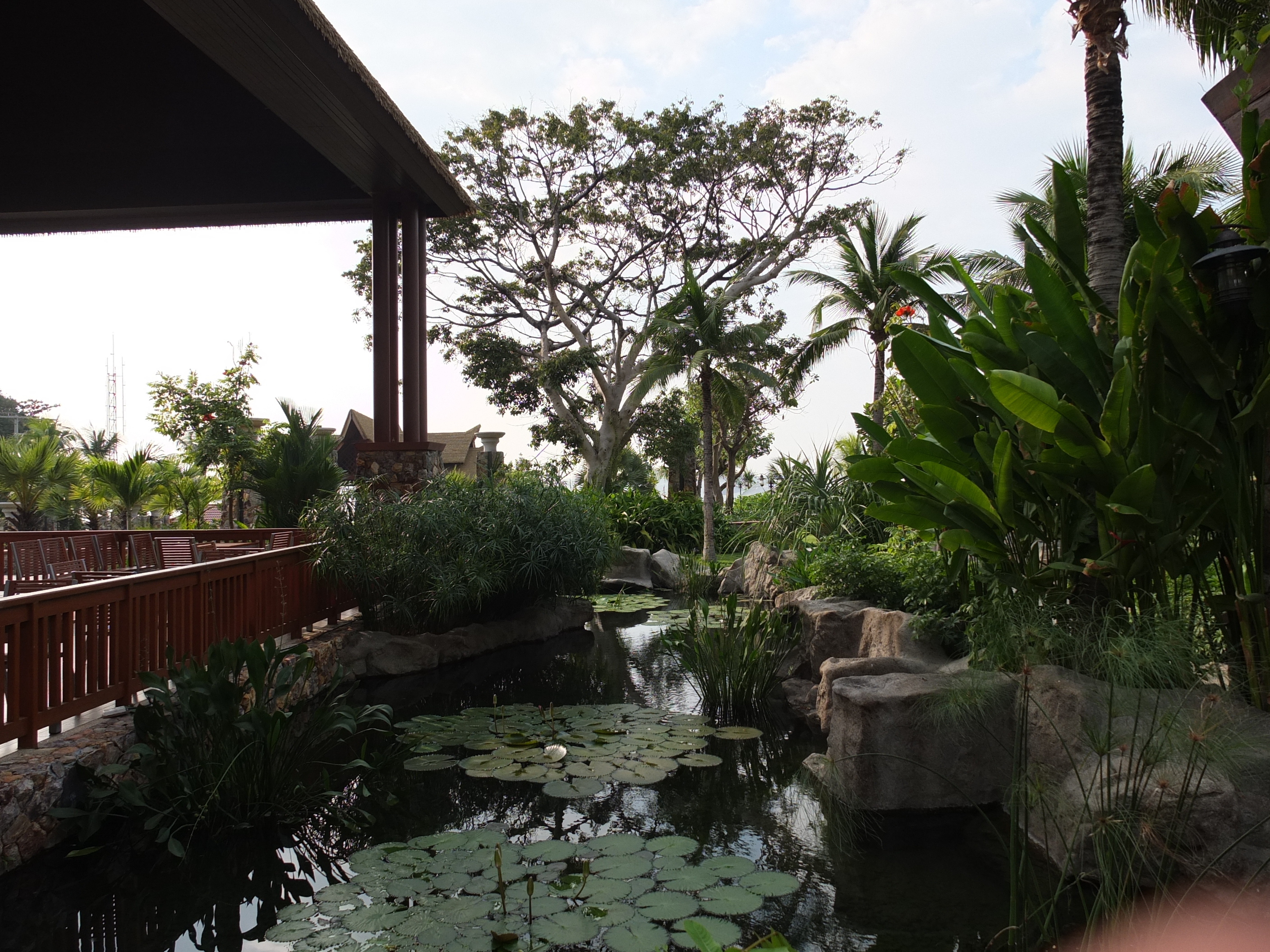 Photo Thaïlande Pattaya Centara Hotel 2011-12 71