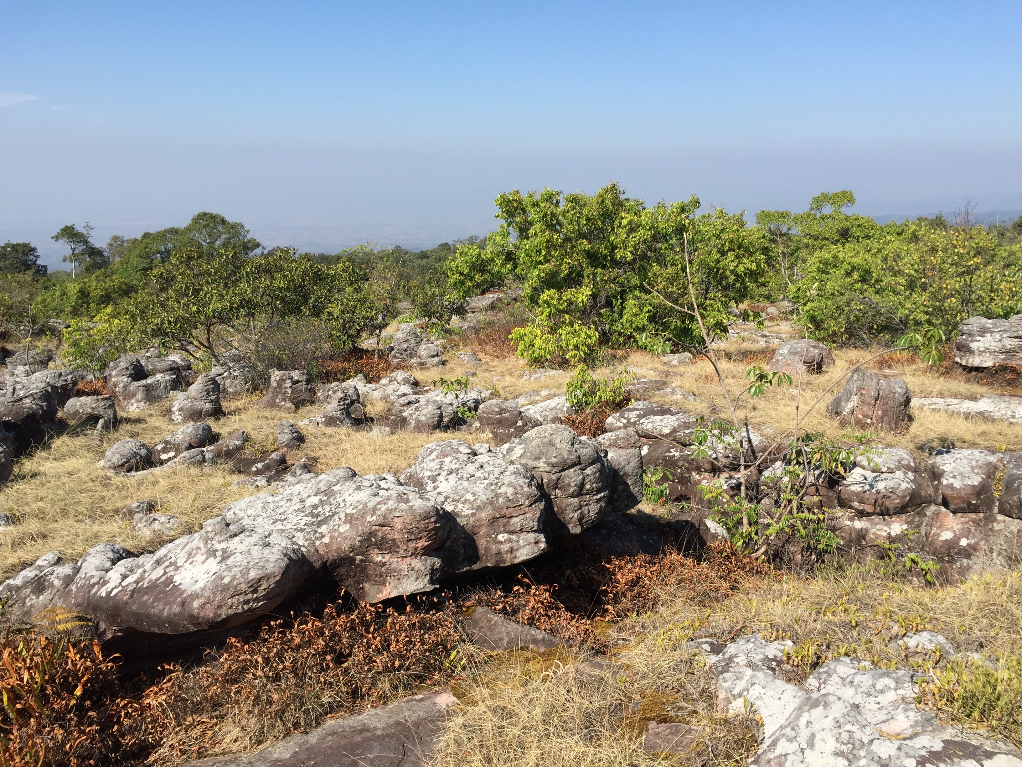 Photo Thaïlande Parc National Phu Hin Rong Kla 2014-12 213