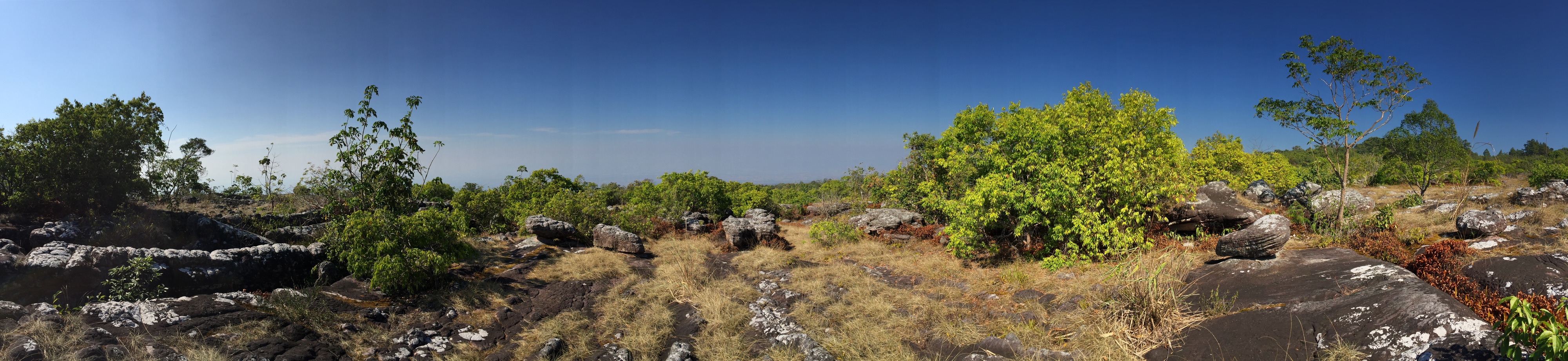 Photo Thaïlande Parc National Phu Hin Rong Kla 2014-12 284