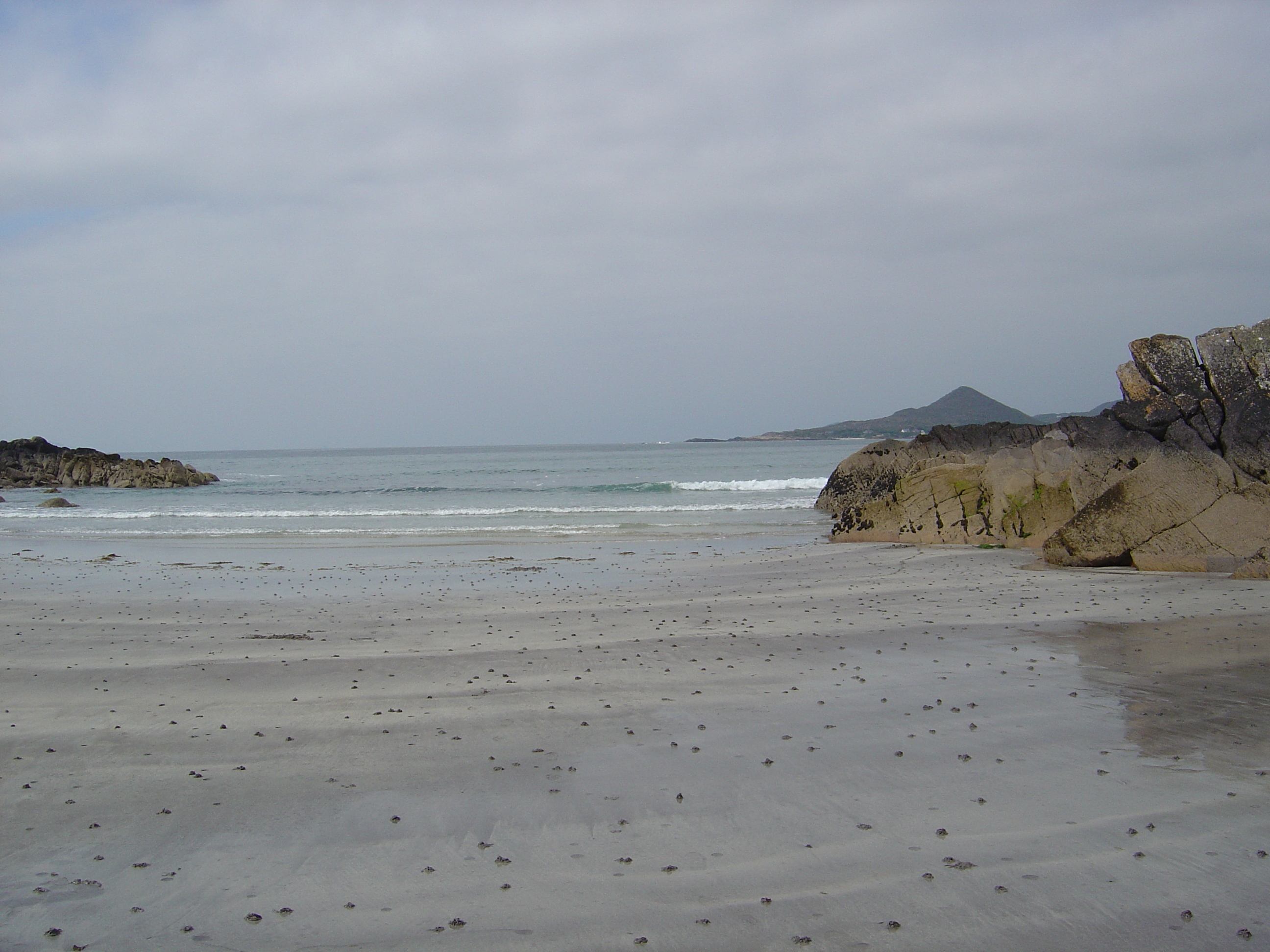 Photo Irlande Kerry Parknasilla 2004-05 67