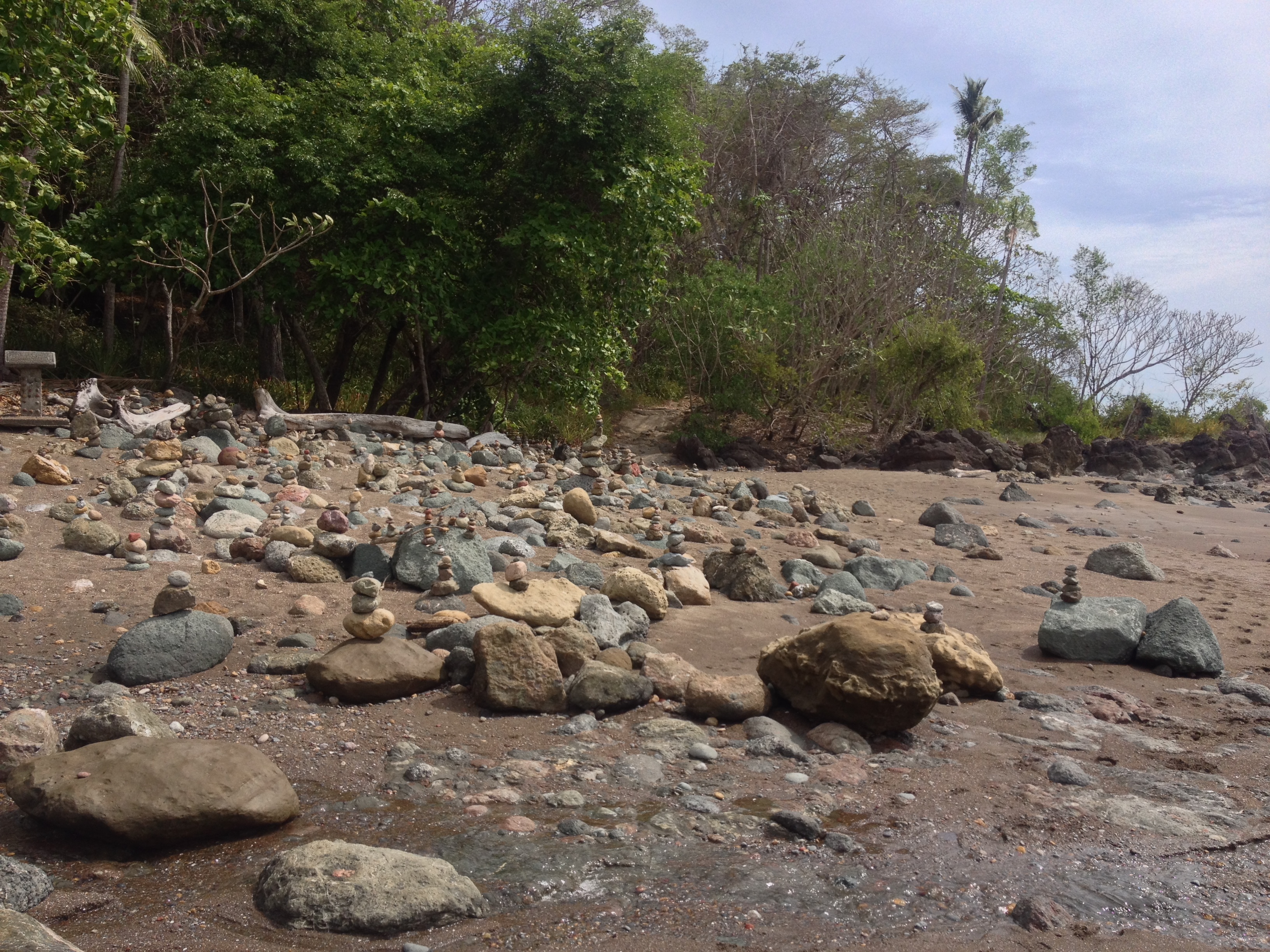 Photo Costa Rica Montezuma 2015-03 609