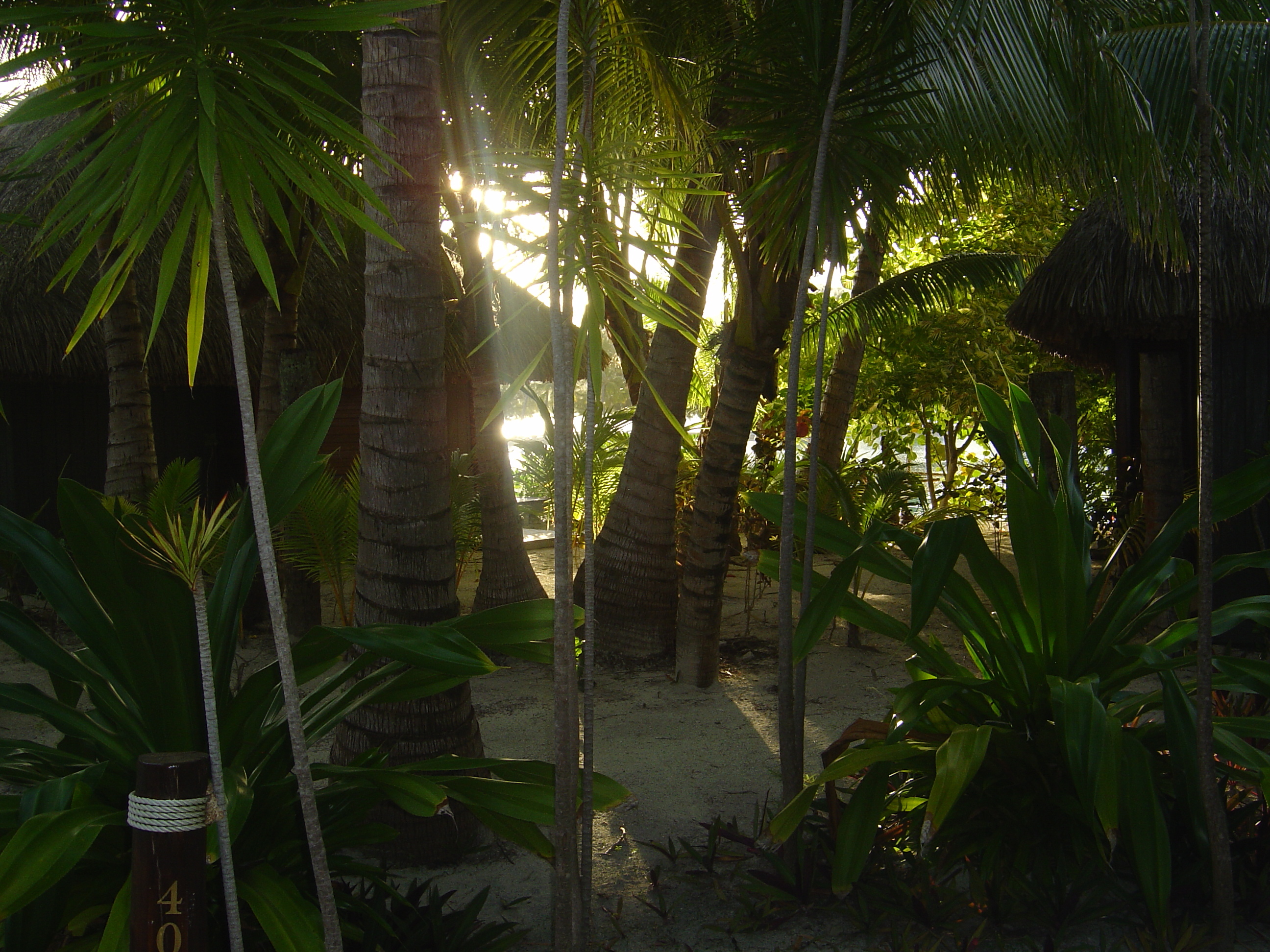 Photo Polynésie Hotel Meridien Bora Bora 2006-04 45