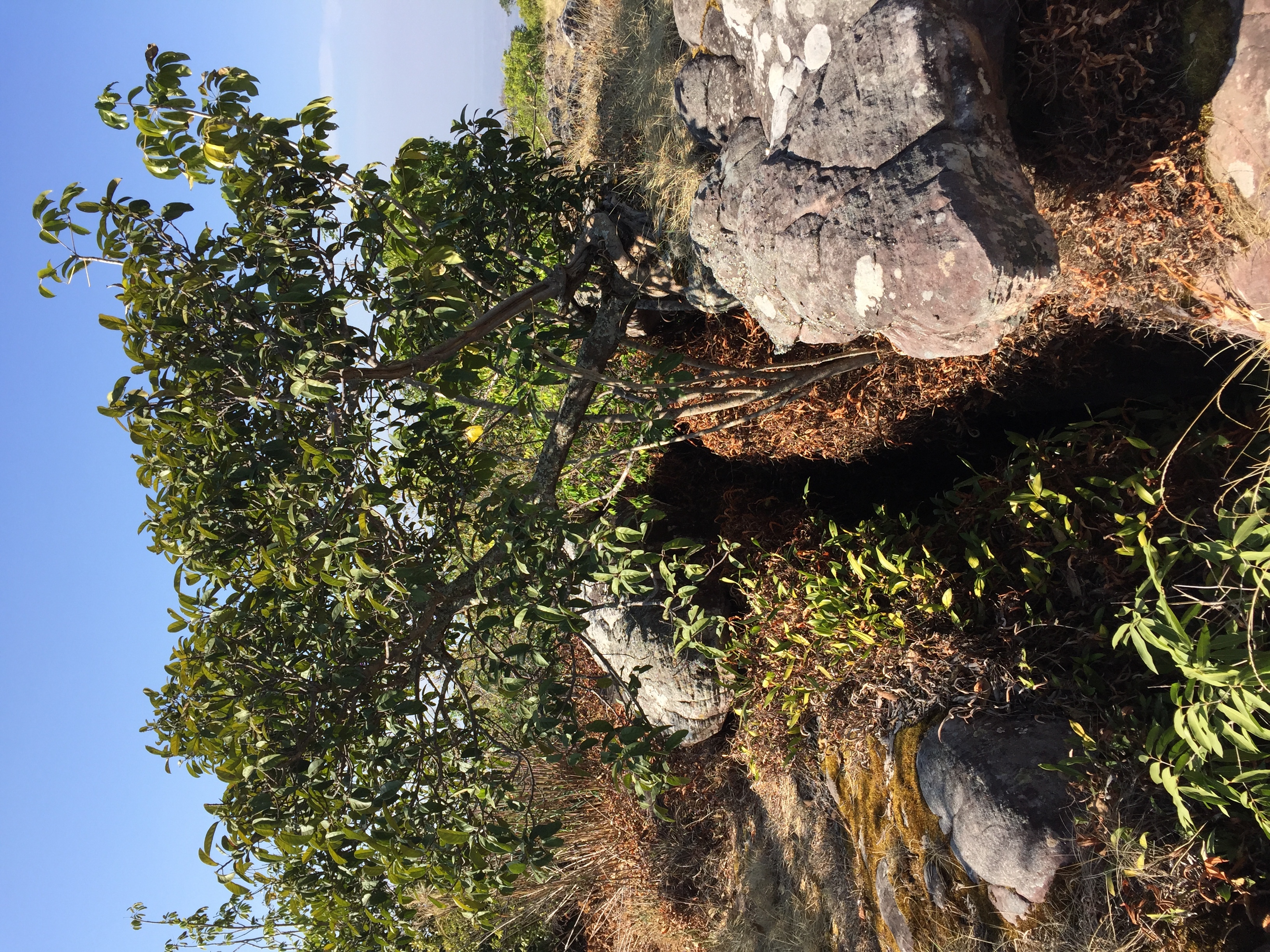 Photo Thaïlande Parc National Phu Hin Rong Kla 2014-12 384