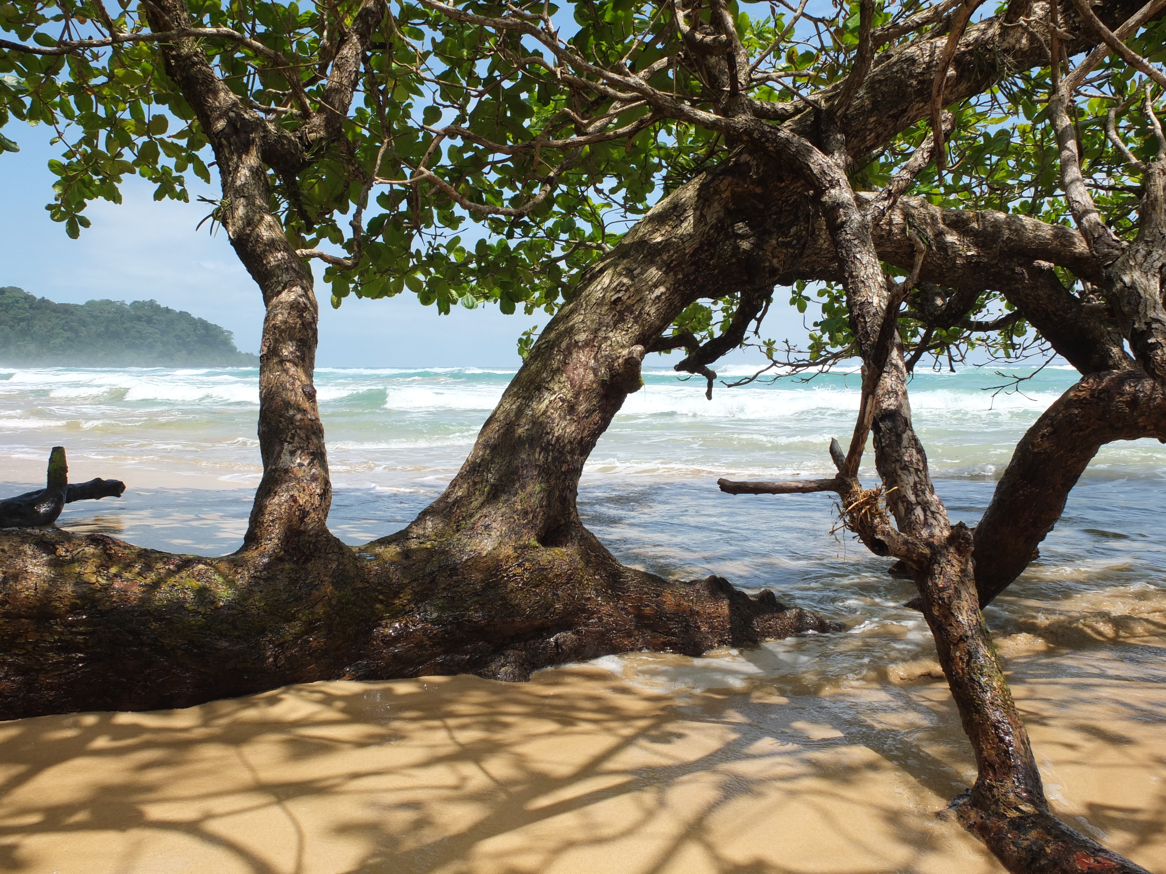 Photo Panama Bastimentos 2015-03 41