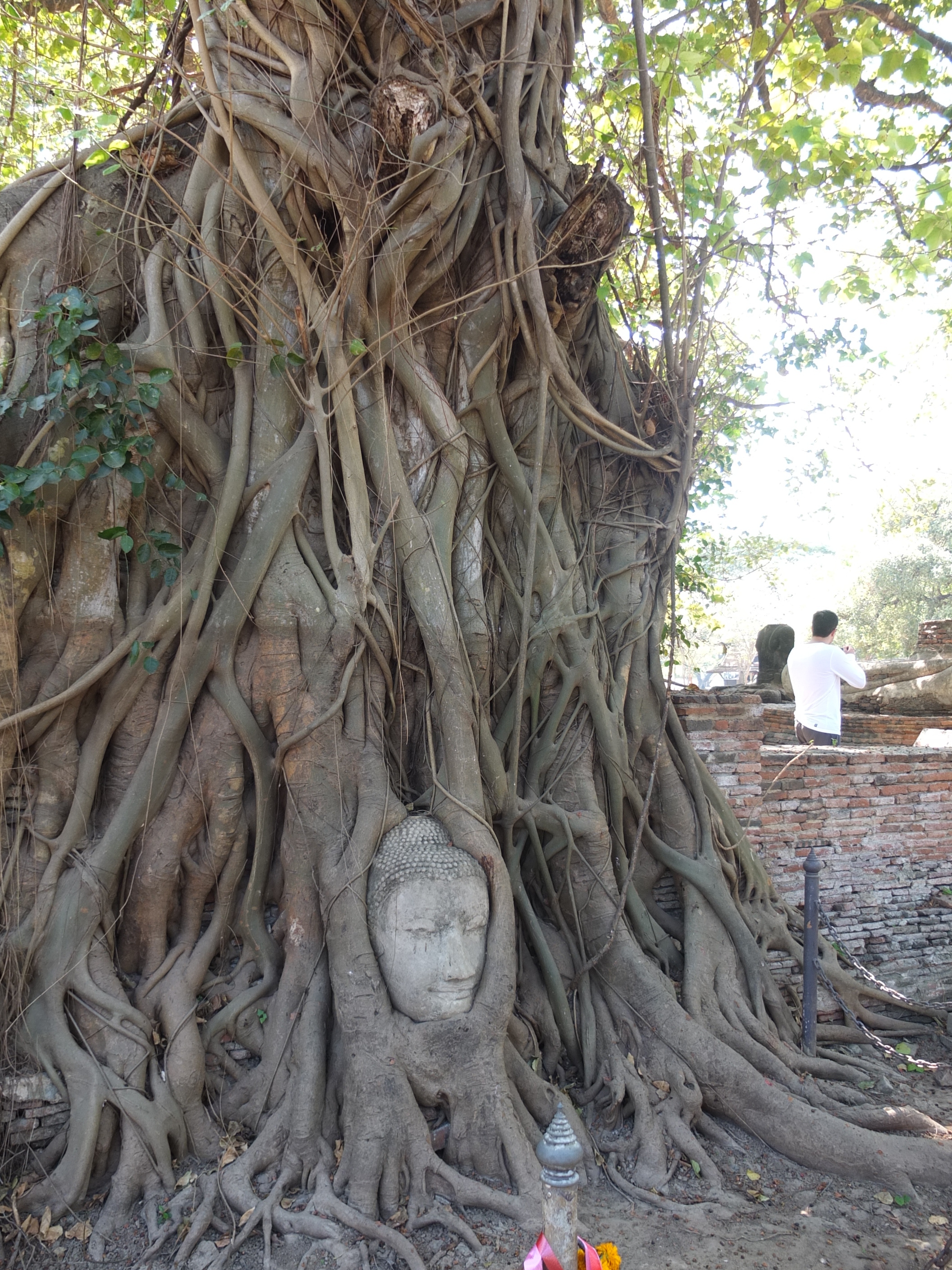 Photo Thaïlande Ayutthaya 2011-12 29