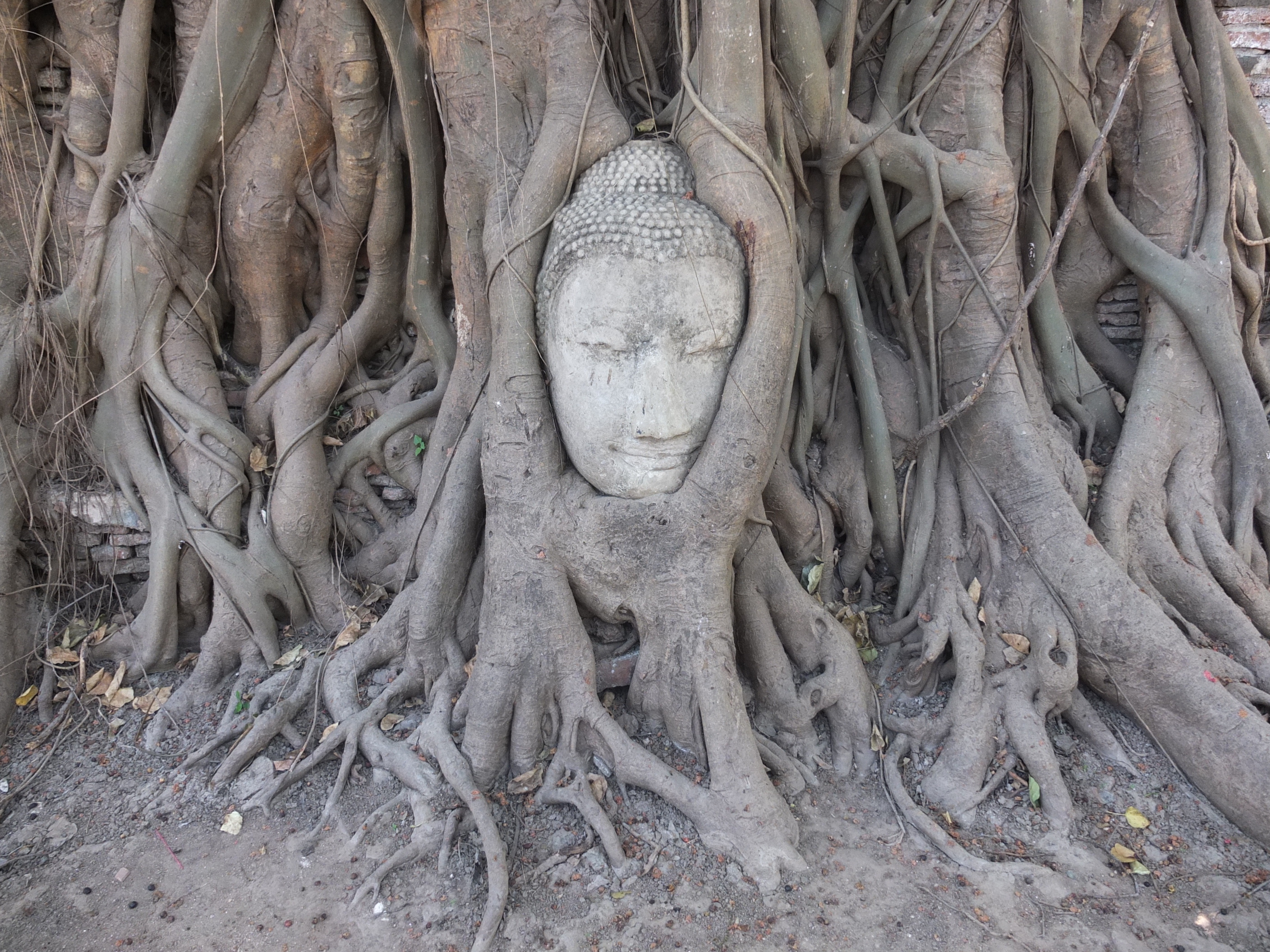 Photo Thaïlande Ayutthaya 2011-12 42